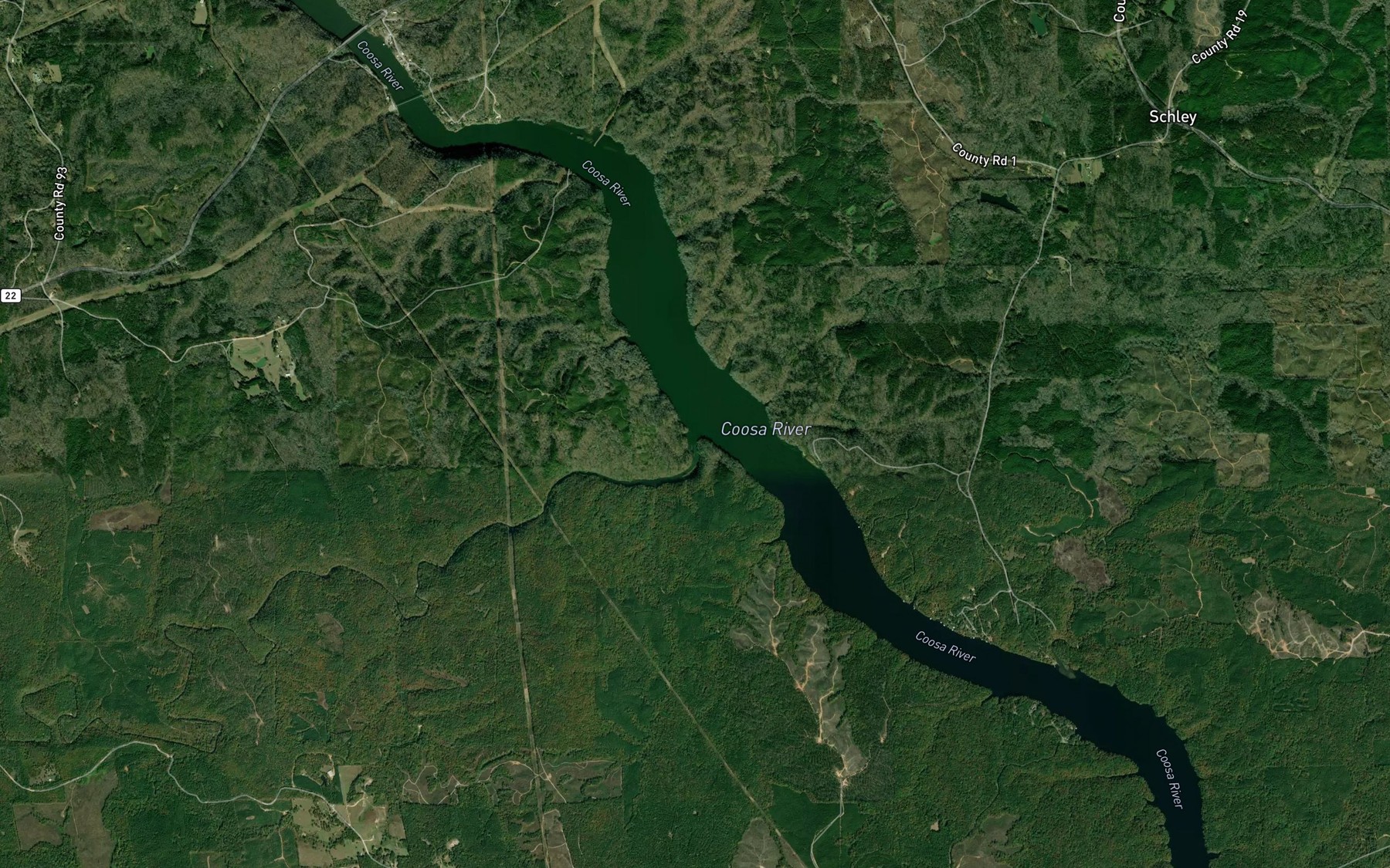 Satellite map of the Chestnut Creek