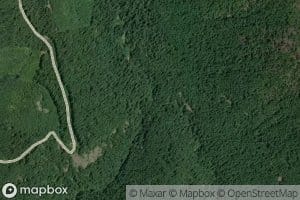 Mosquito Creek