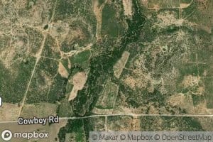 Wild Cow Branch