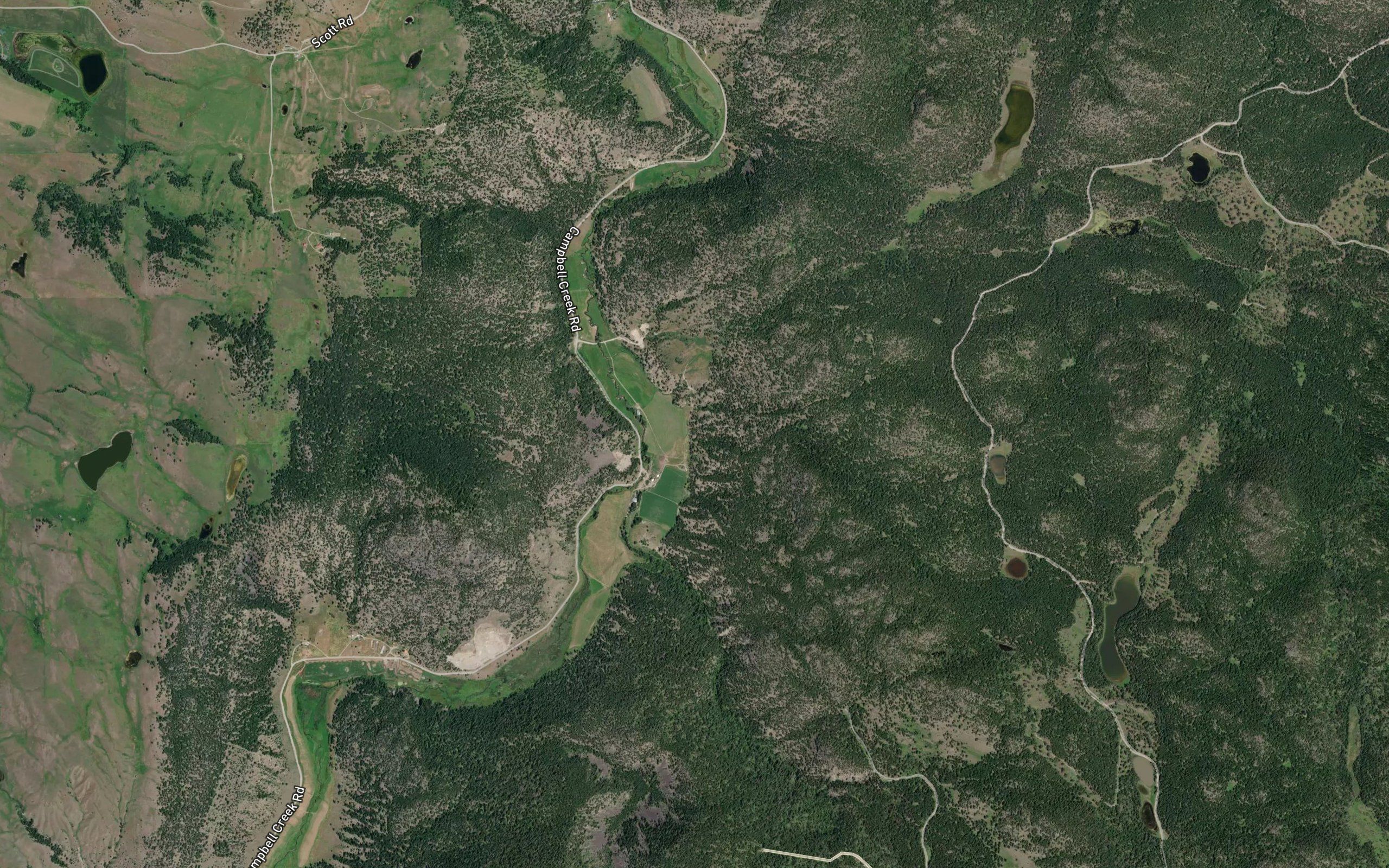 Scuitto Creek