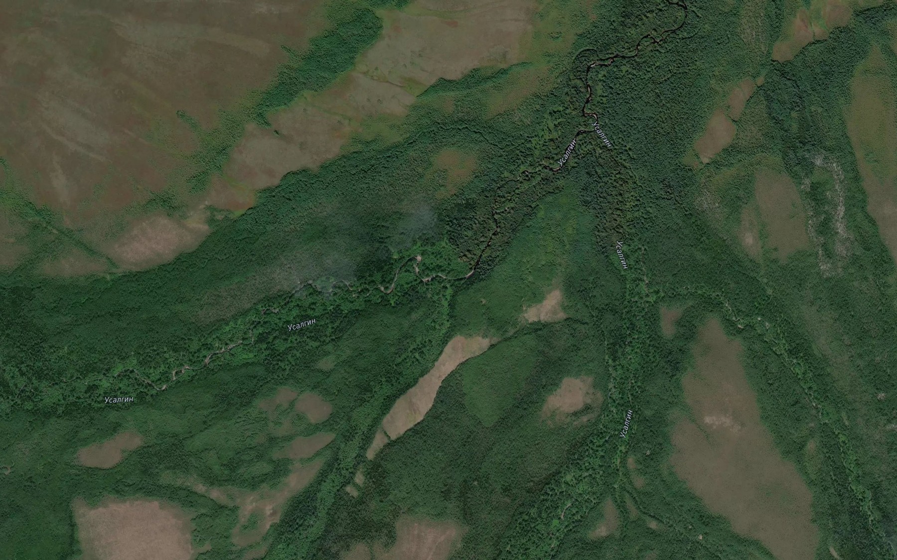 Satellite map of the Orekhovyy