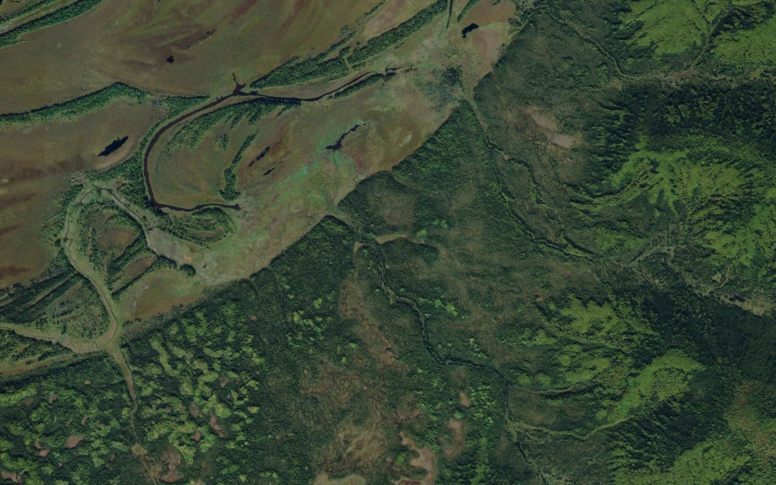 Muller Creek