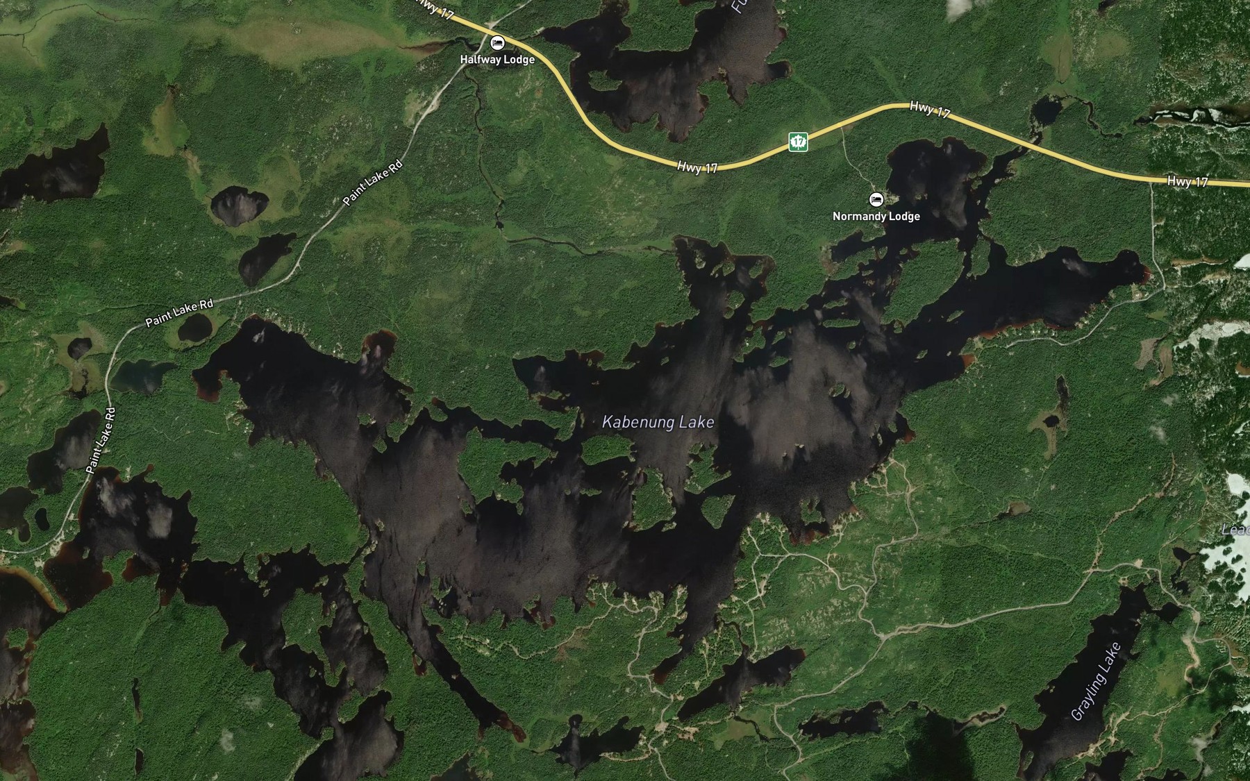 Satellite map of the Fungus Creek