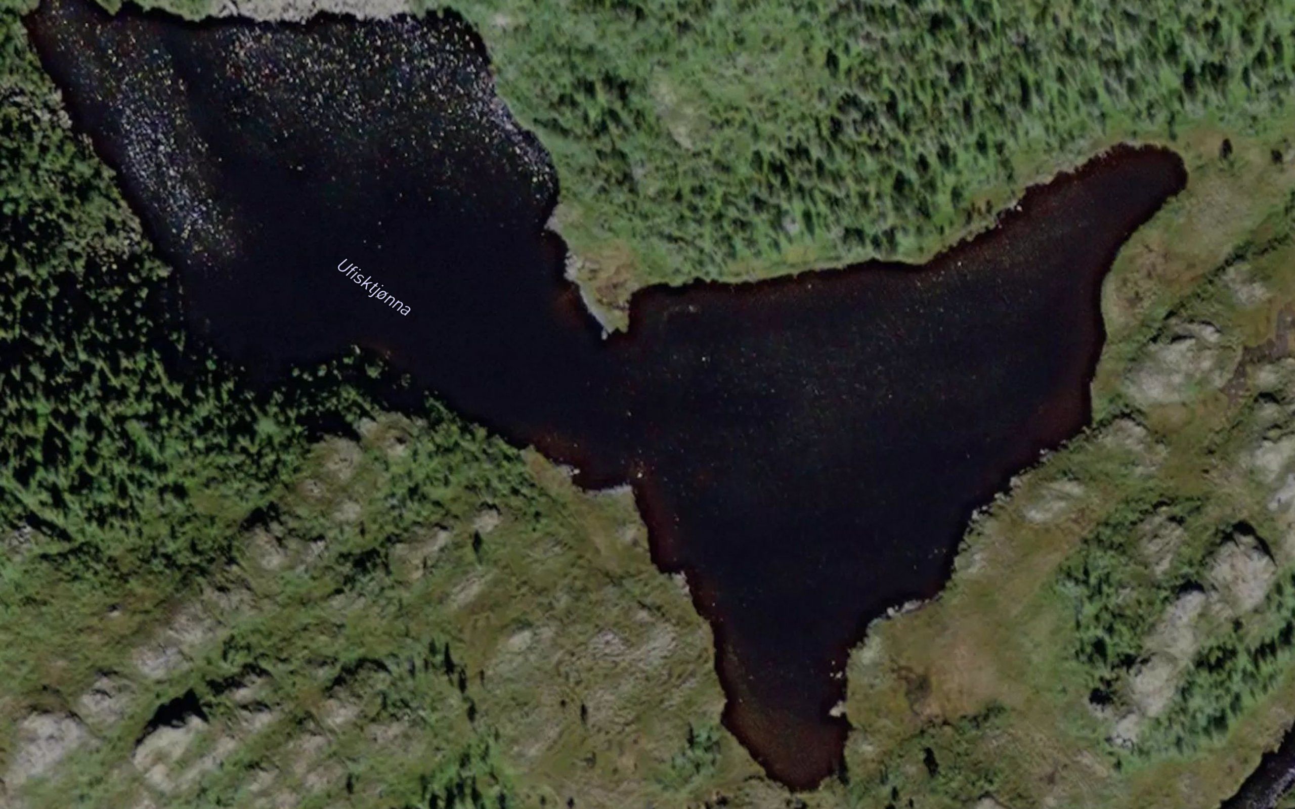 Ufisktjorna