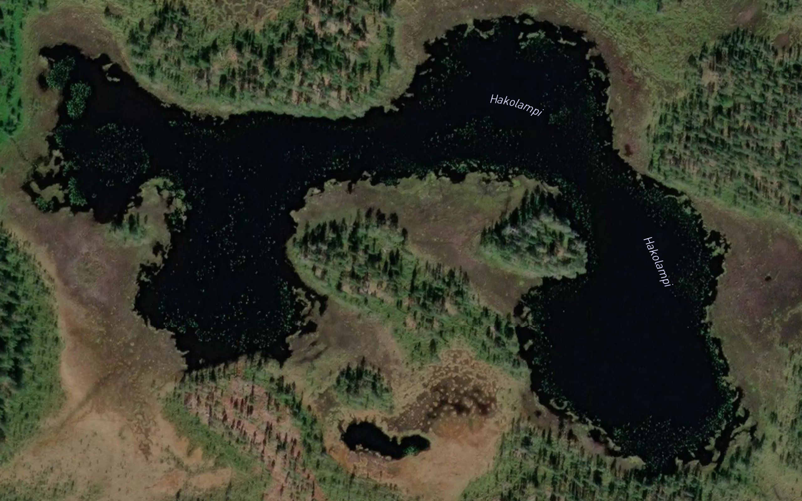 Hakolampi
