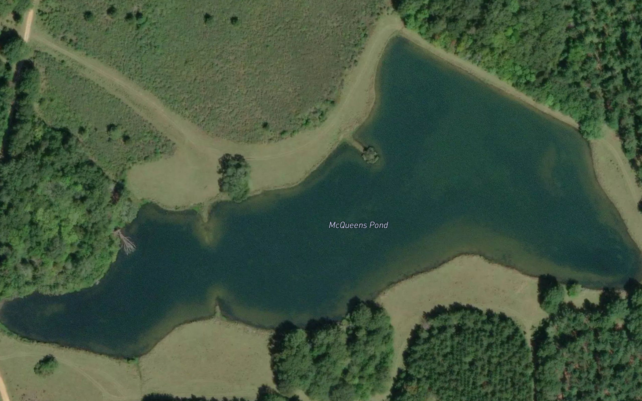 McQueens Pond