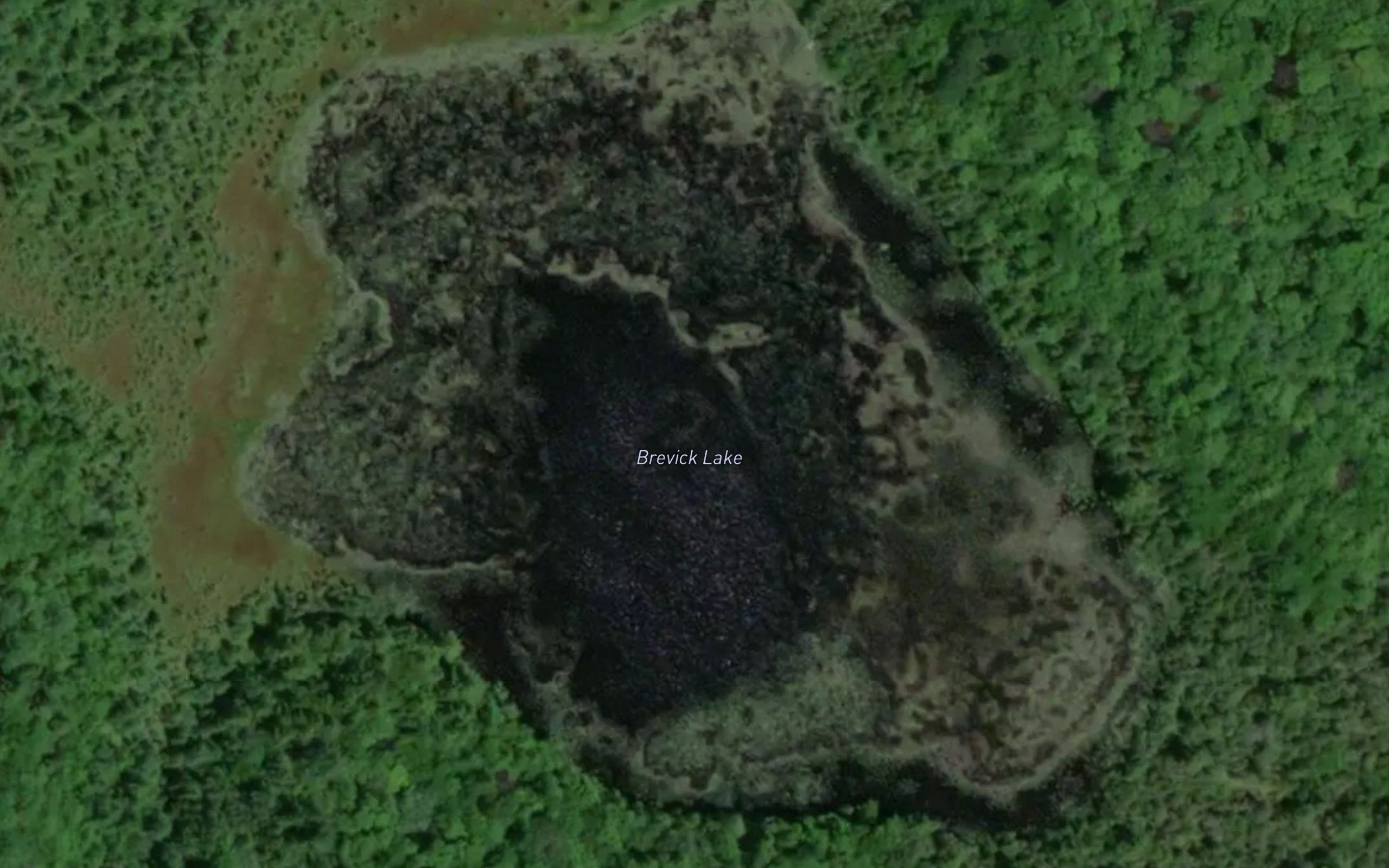 Brevick Lake