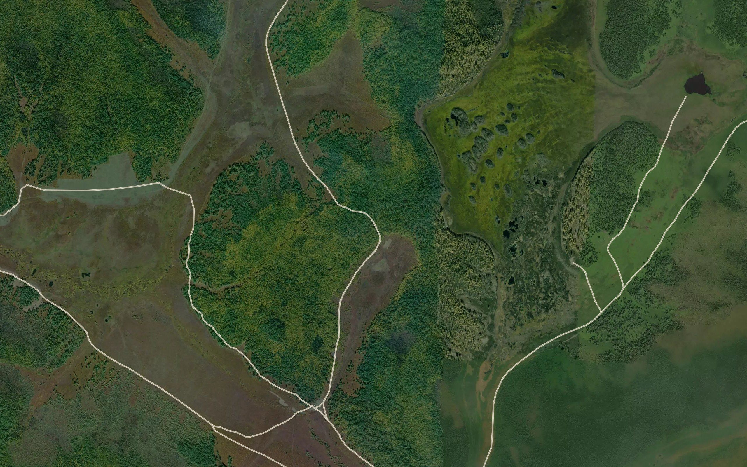 Pad' Vladimirova