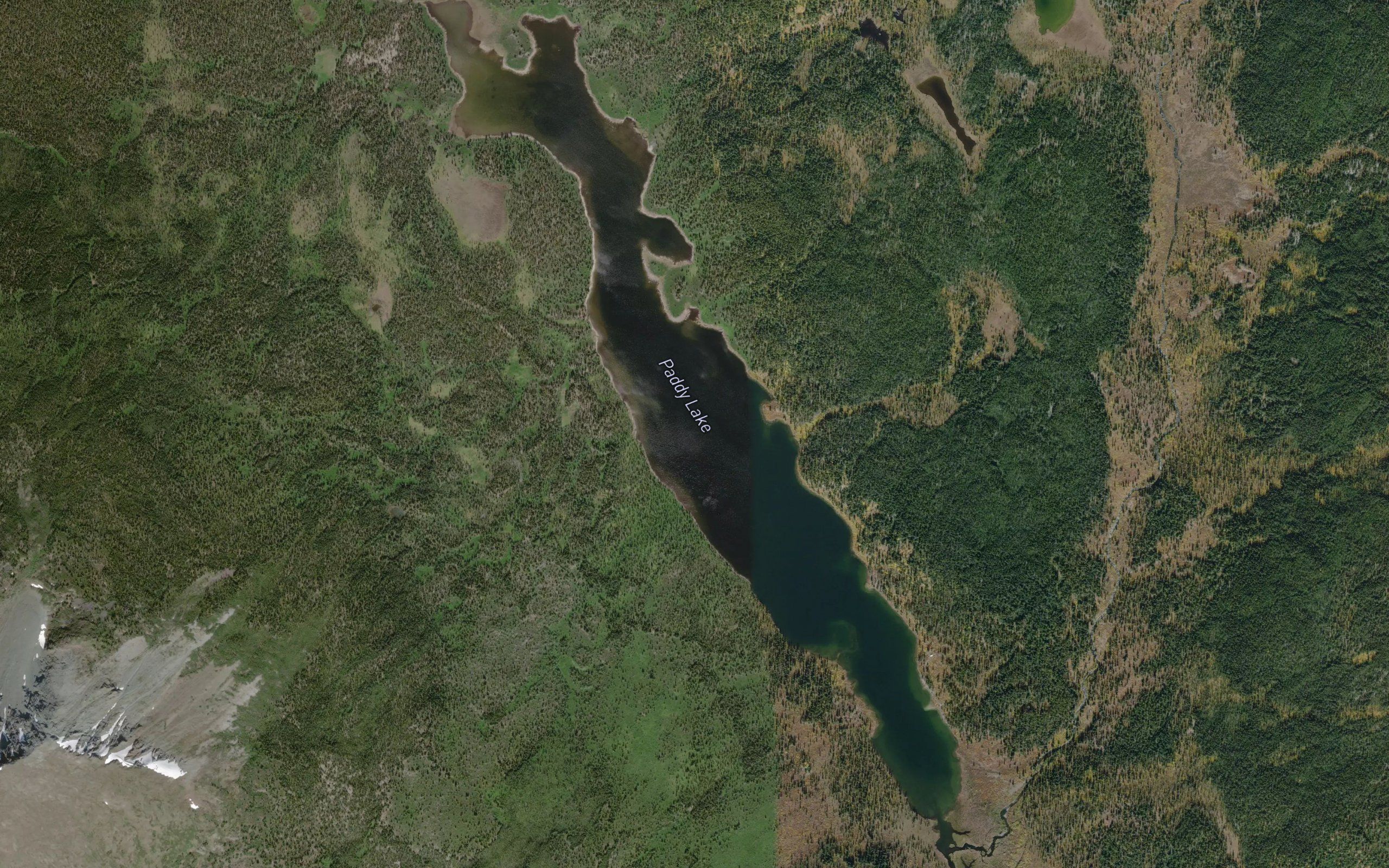 Paddy Lake