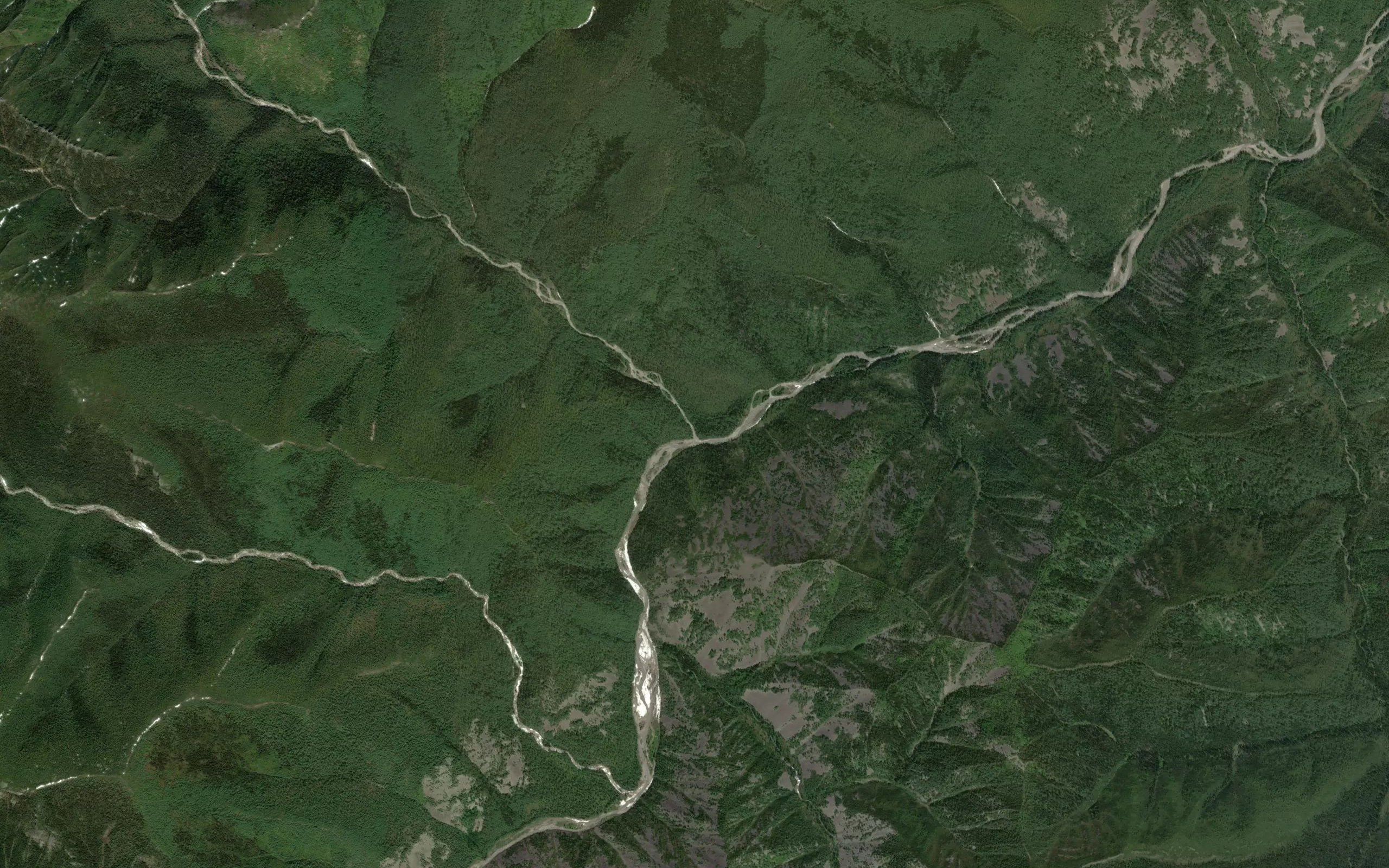 Levaya Nipna