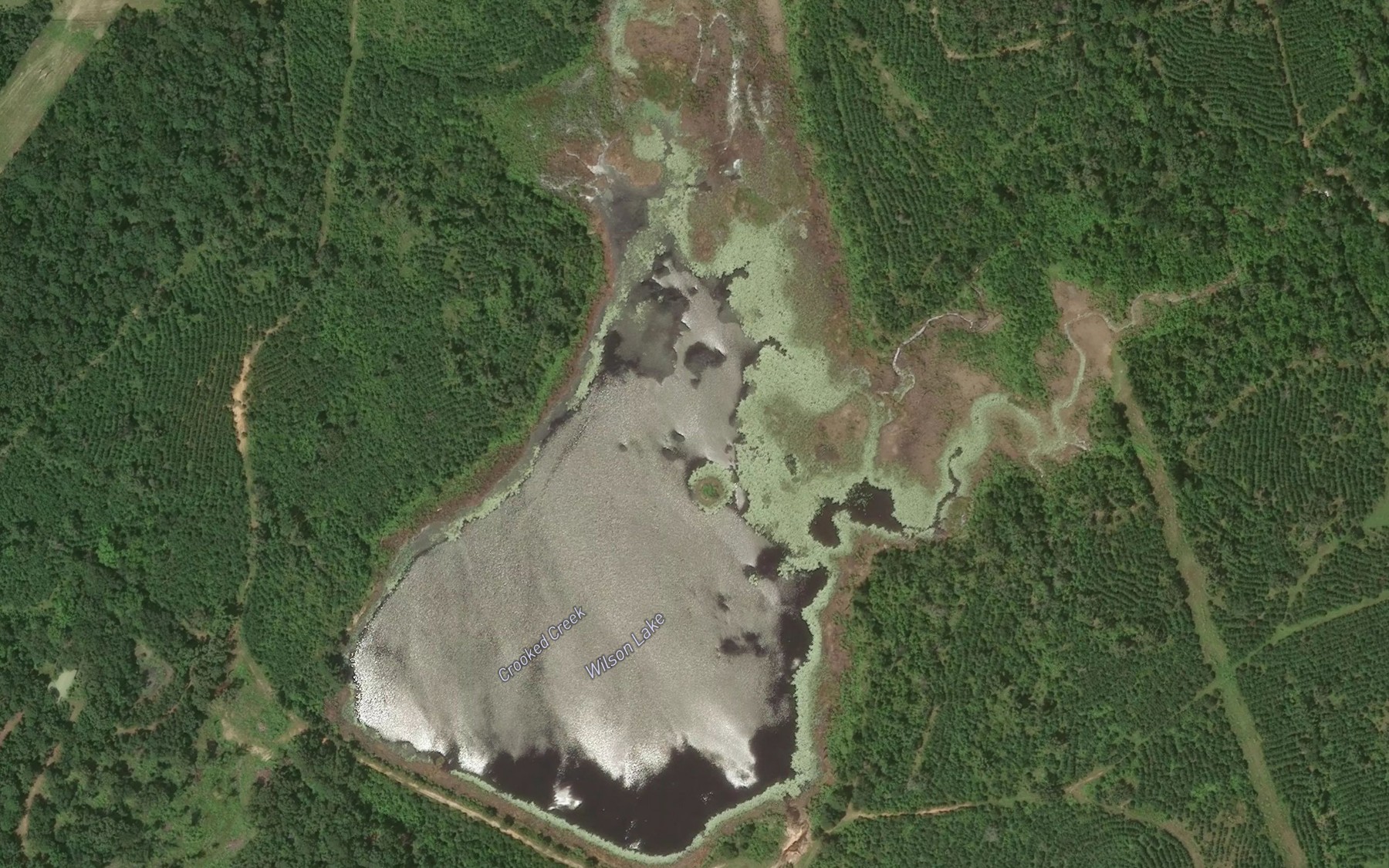Satellite map of the Wilson Lake