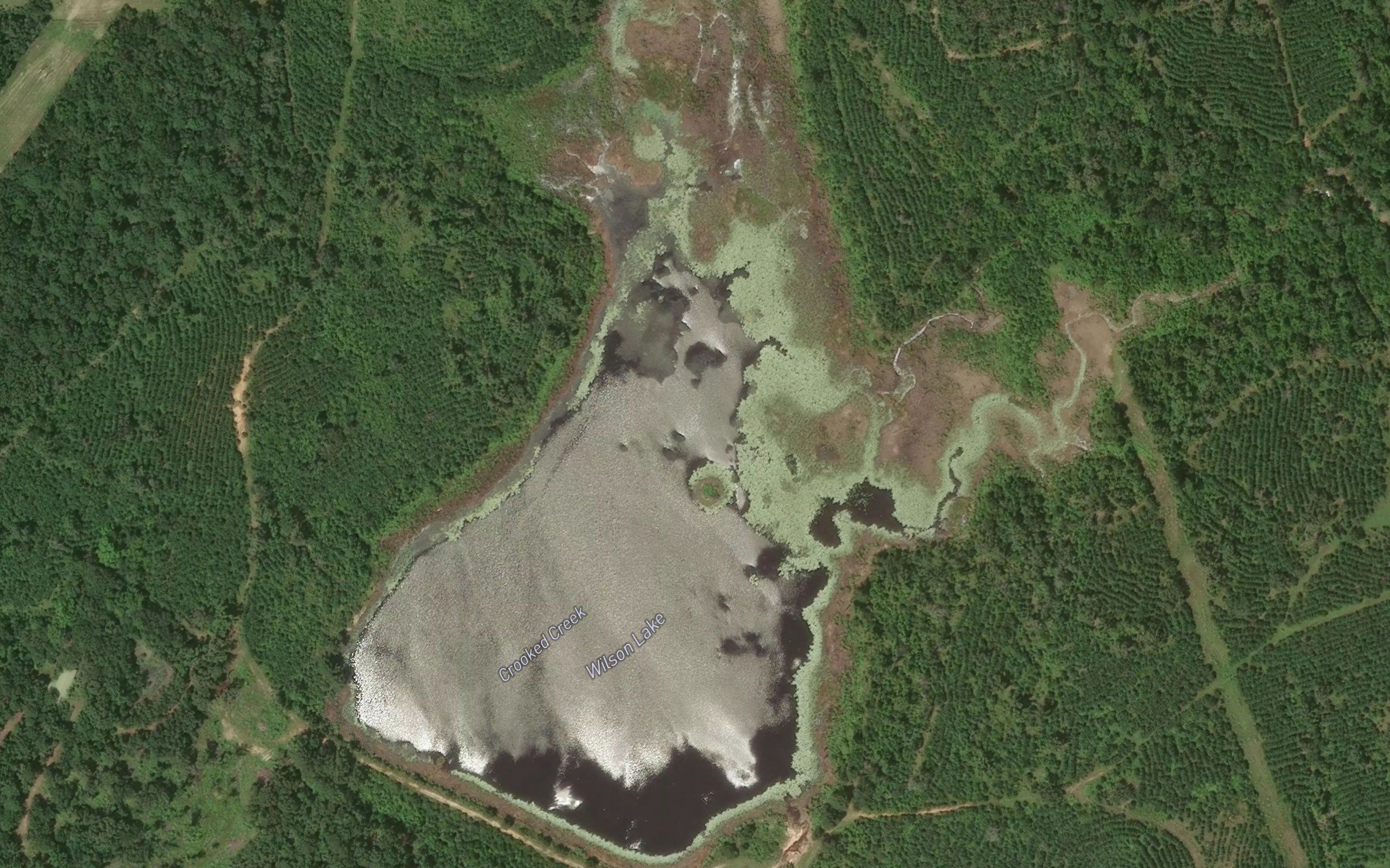 Wilson Lake
