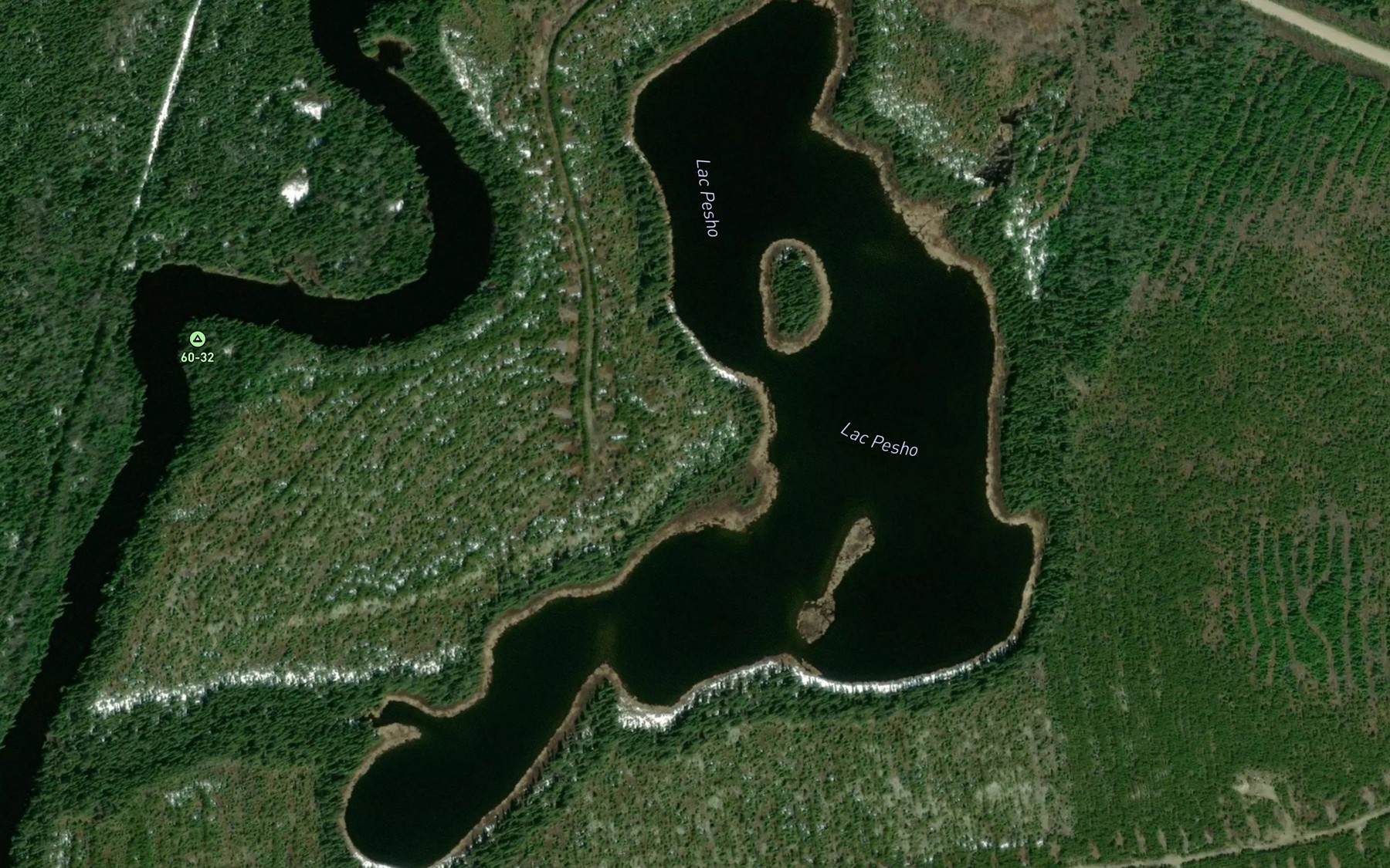 Satellite map of the Lac Pesho