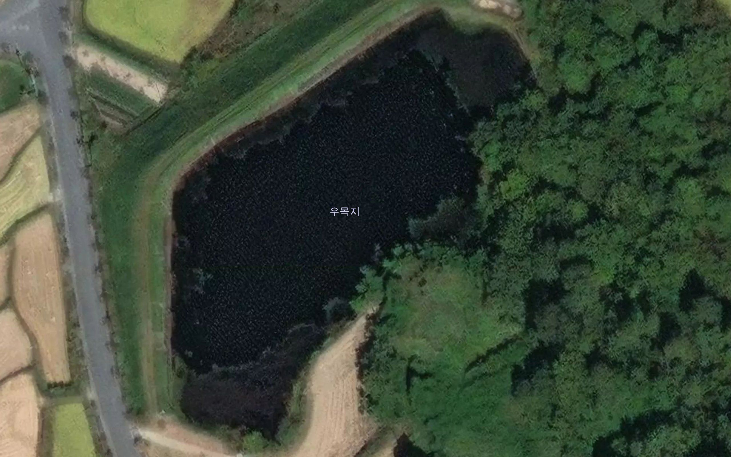 Umokje