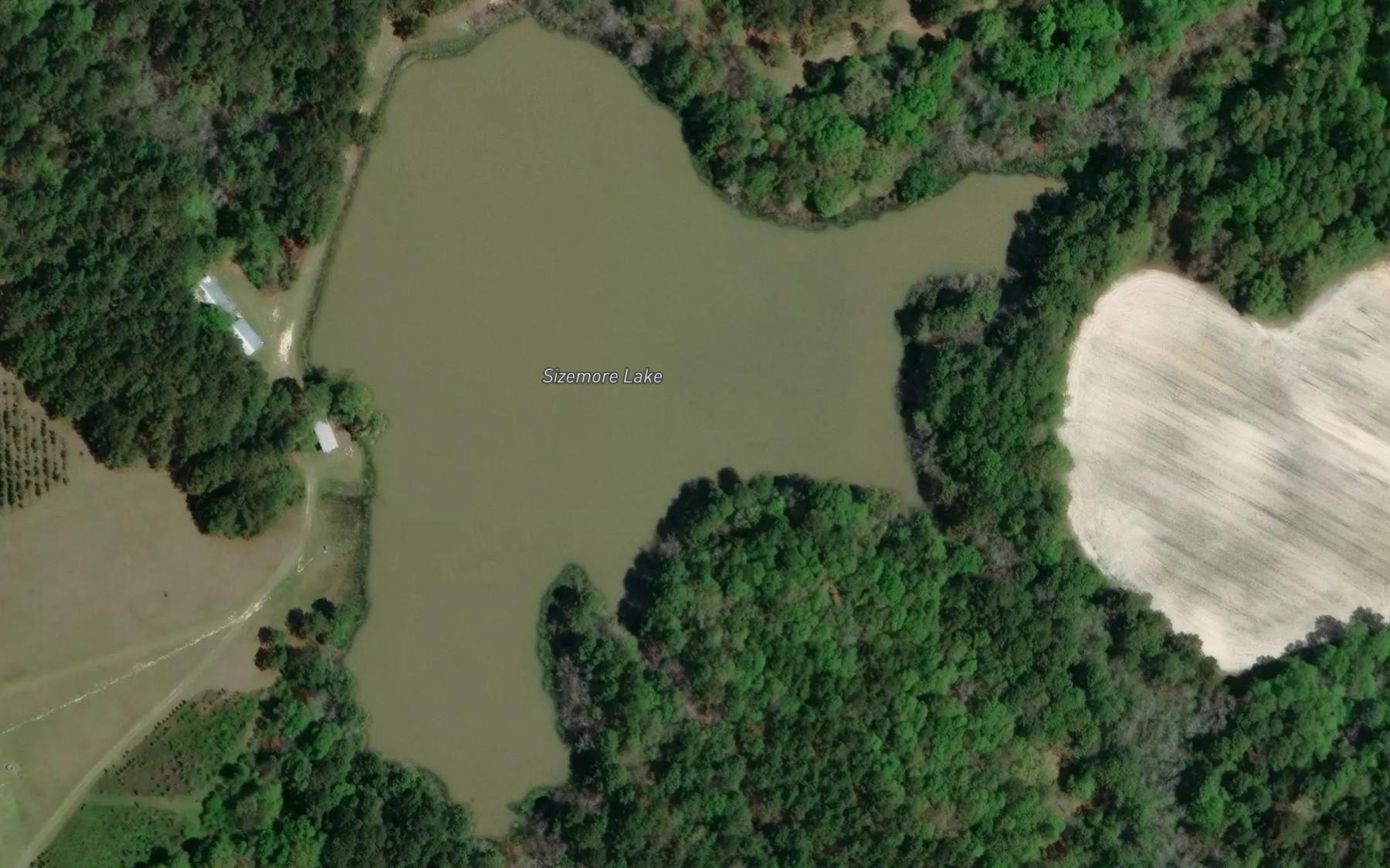 Satellite map of the Sizemore Lake