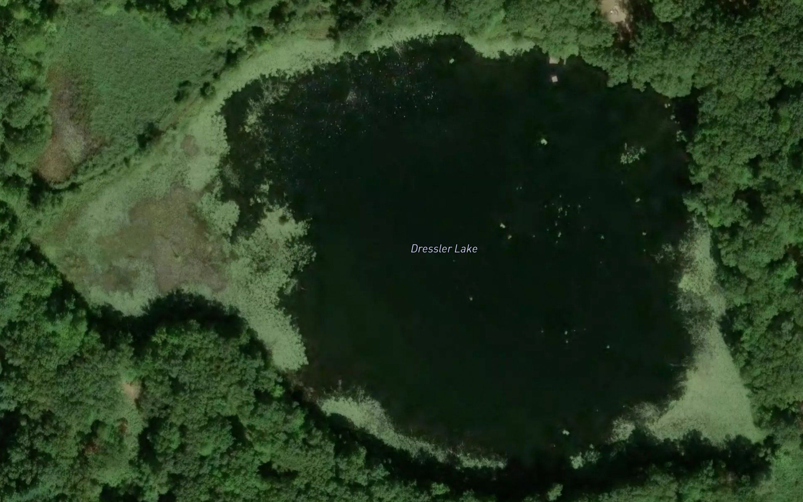 Dressler Lake