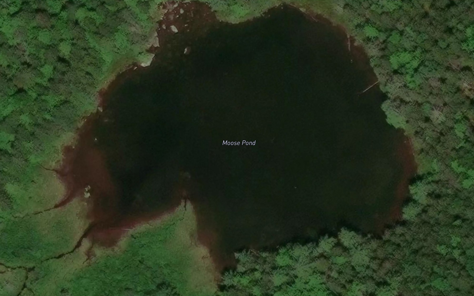 Satellite map of the Moose Pond