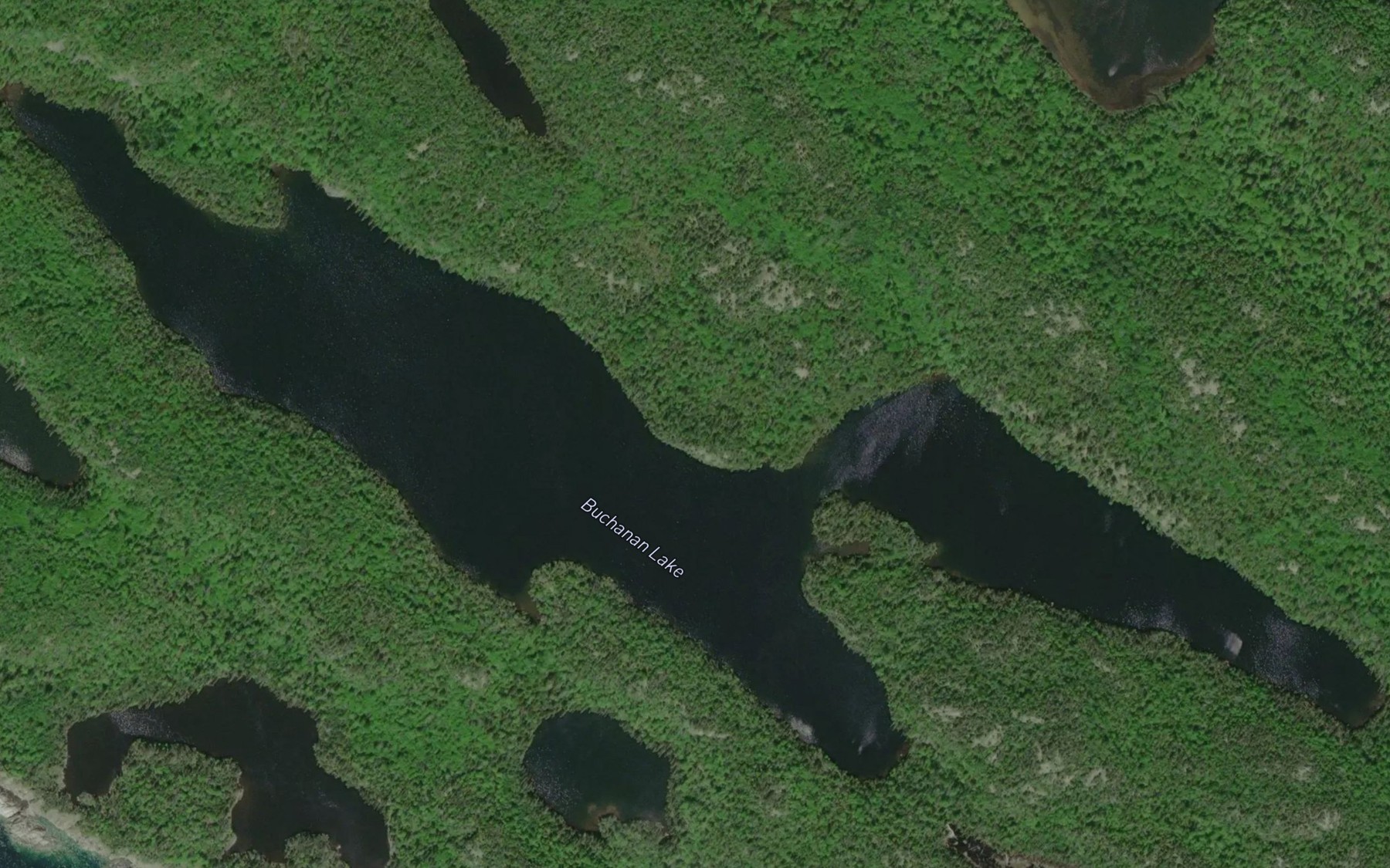 Satellite map of the Buchanan Lake