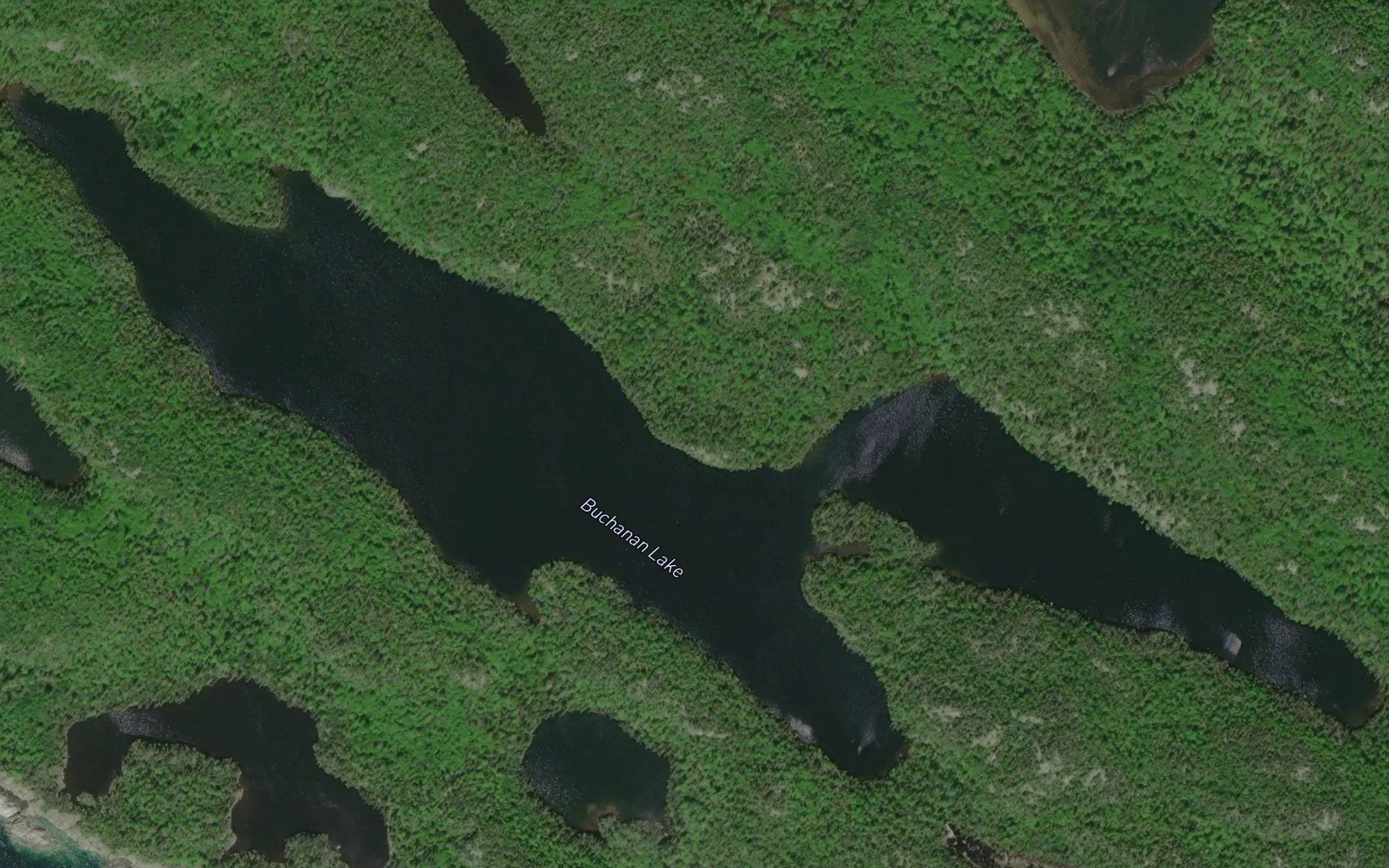 Buchanan Lake