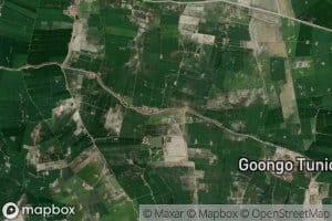 Gul Muhammad Distributary