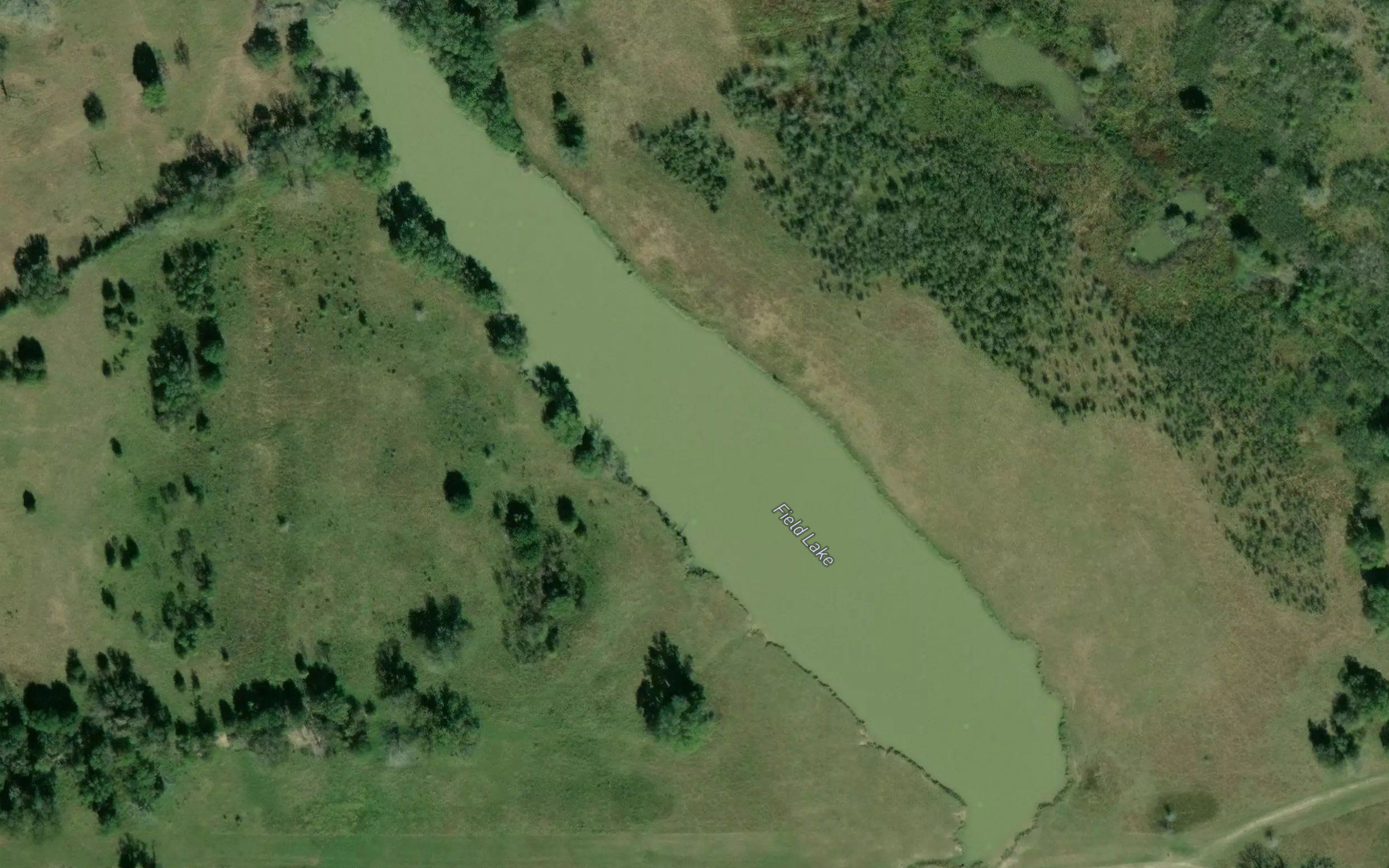 Field Lake