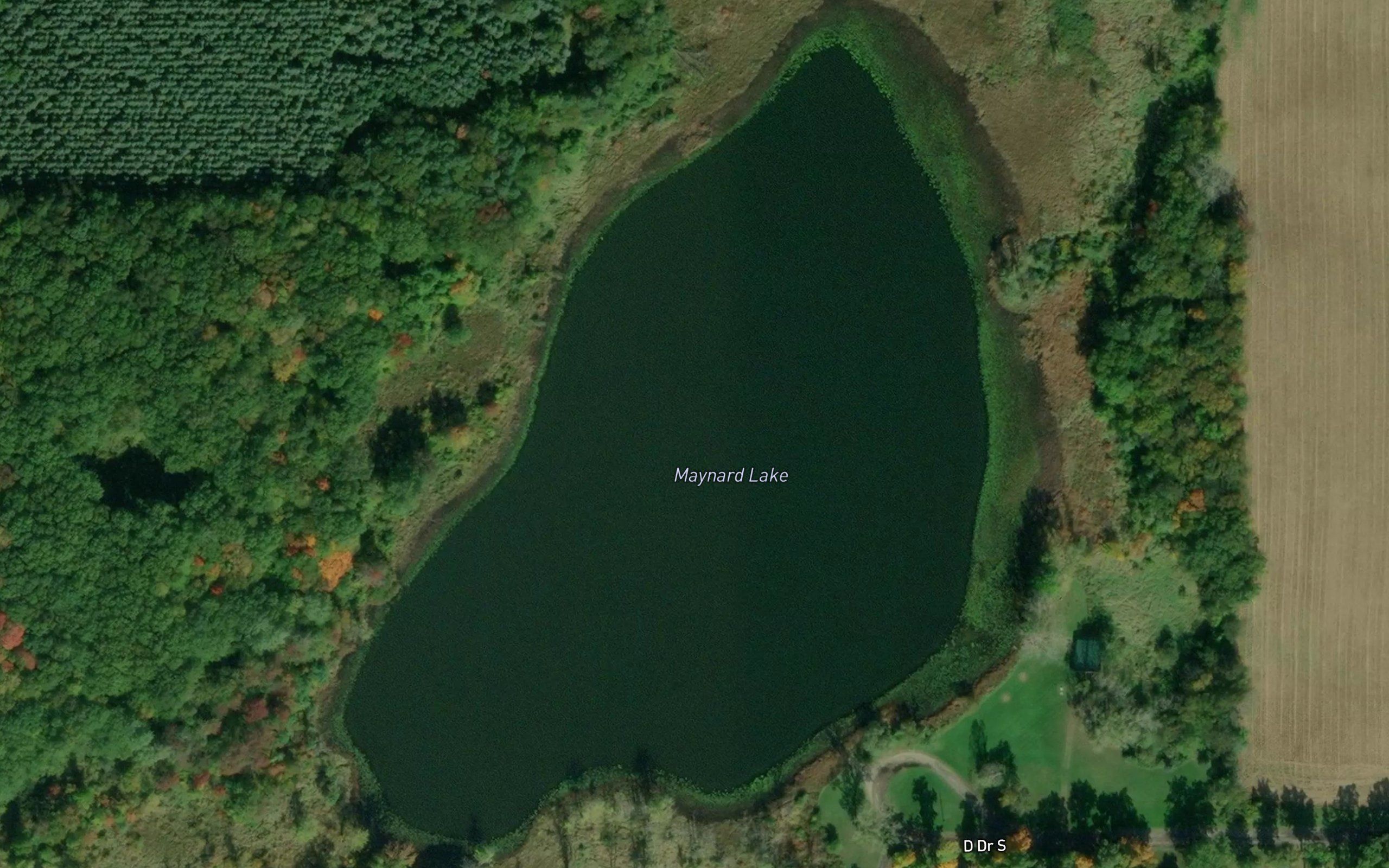 Maynard Lake