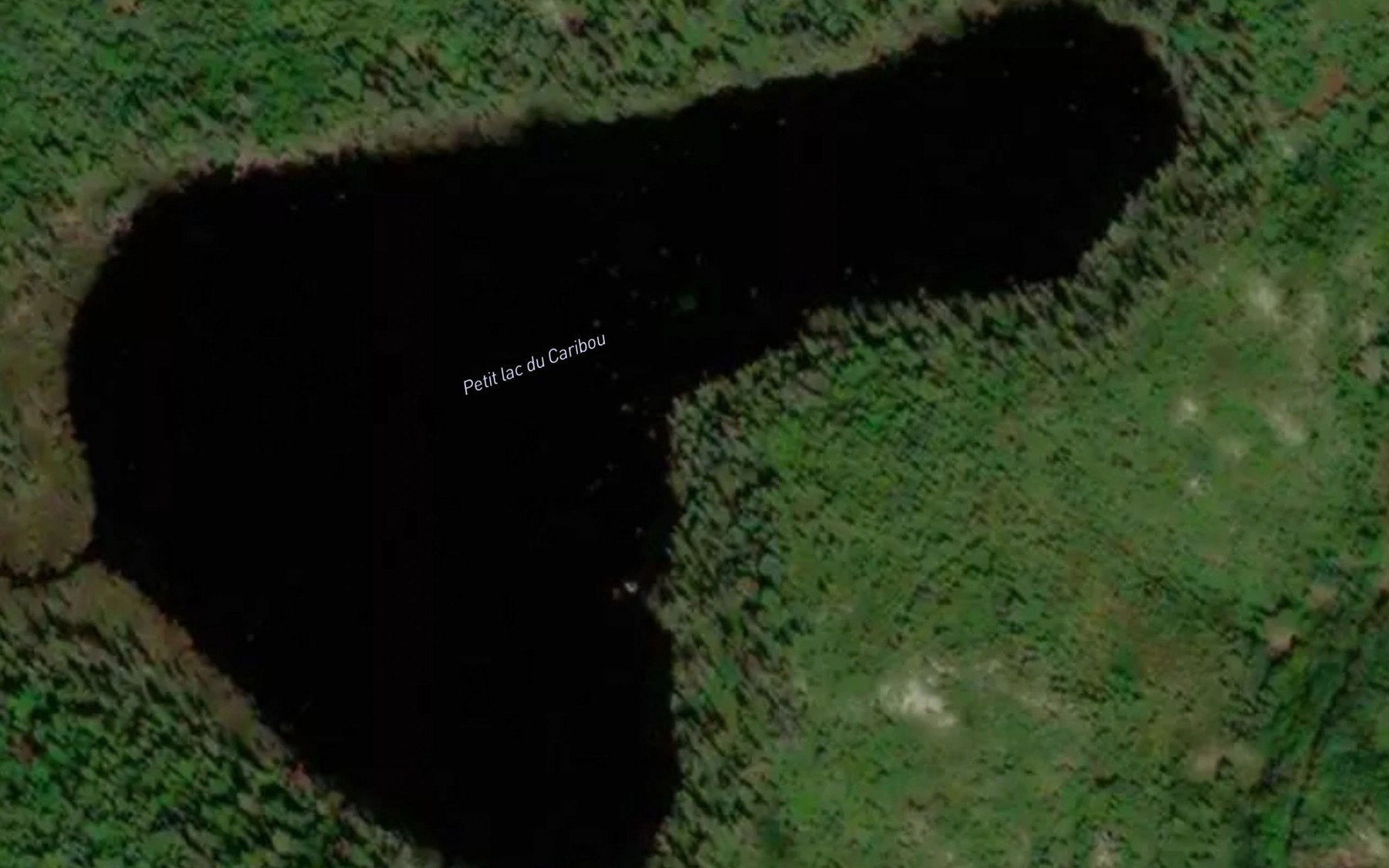 Satellite map of the Petit lac du Caribou