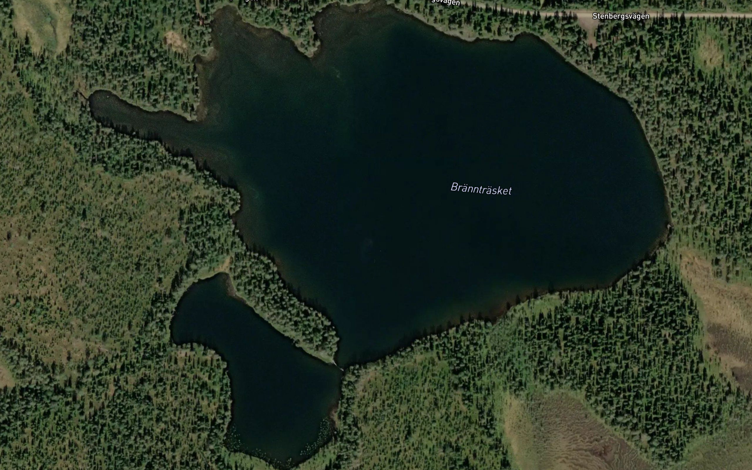 Braenntraesket