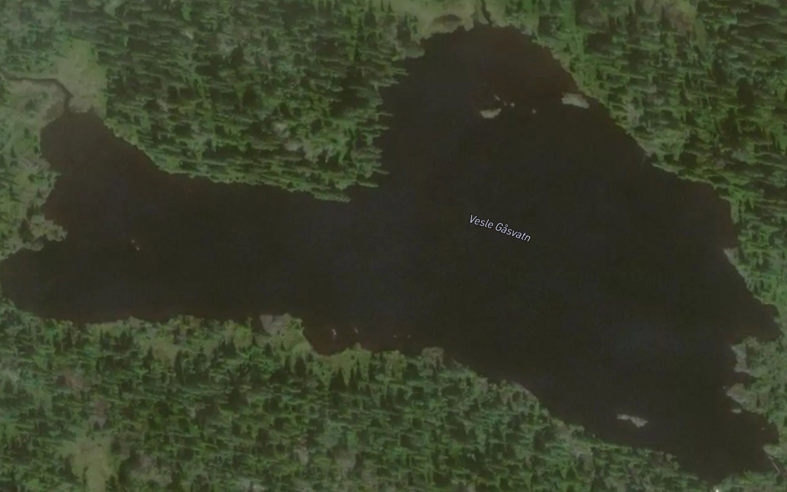 Gasvatn,vle