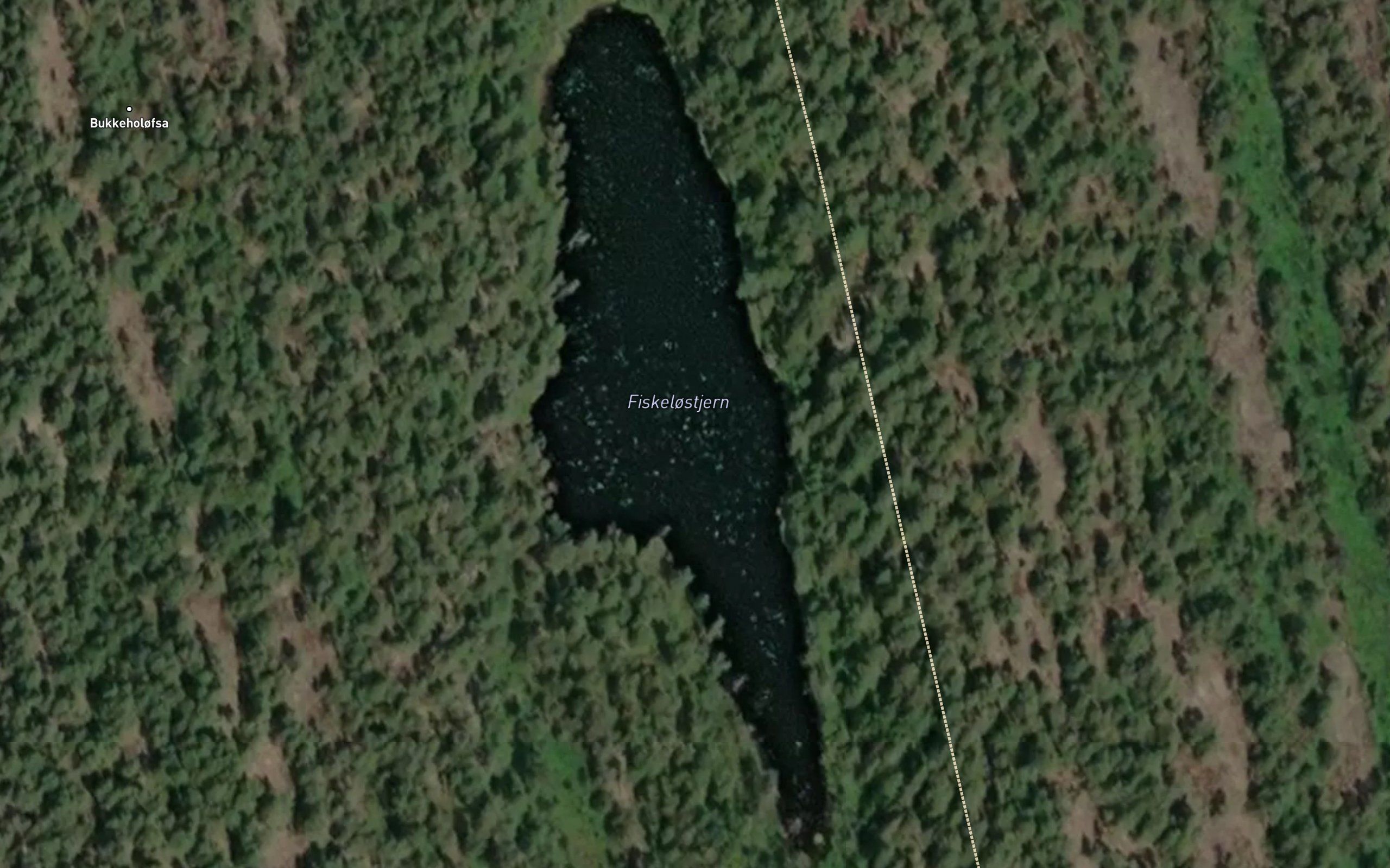 Fiskelostjern