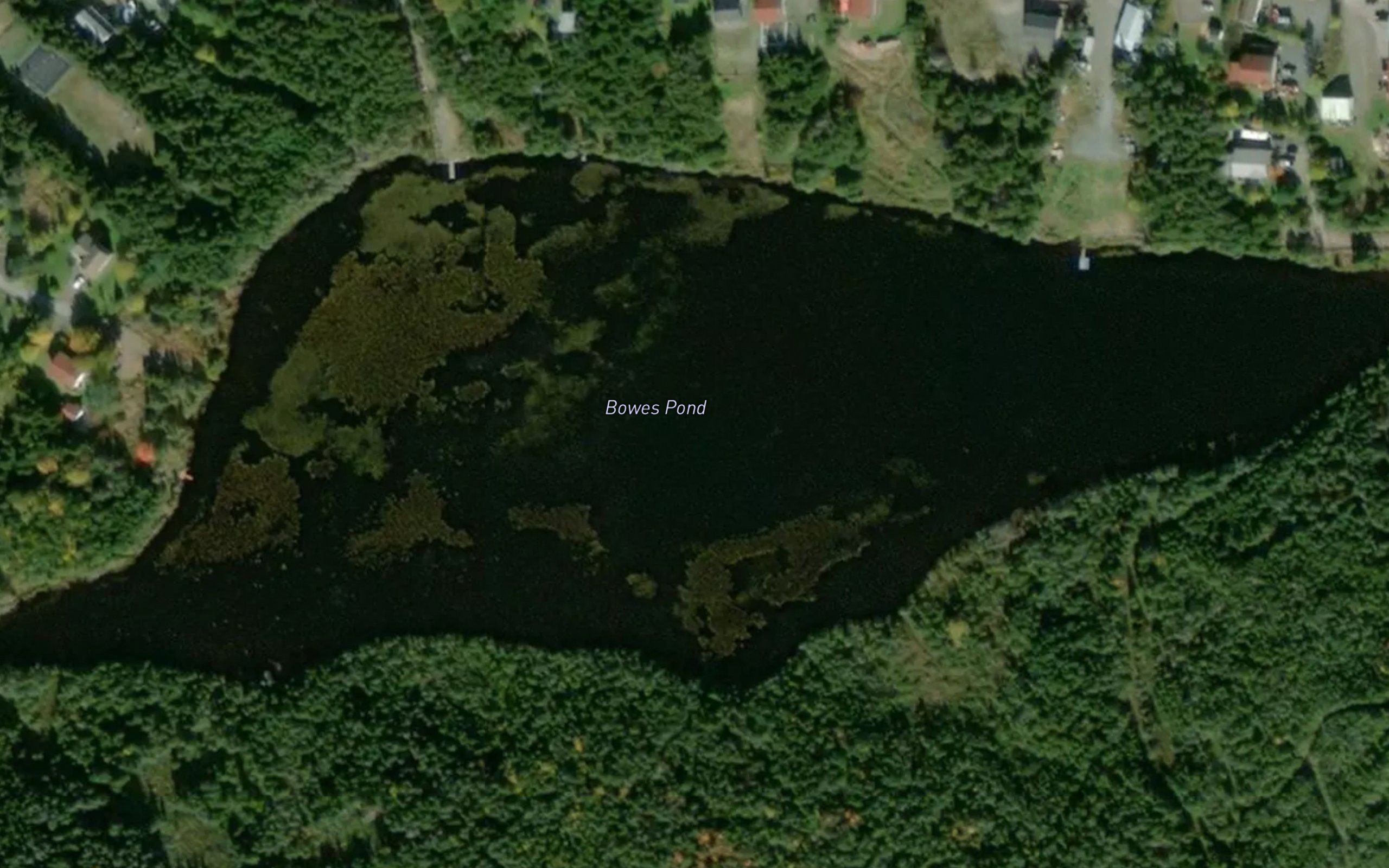 Bowes Pond