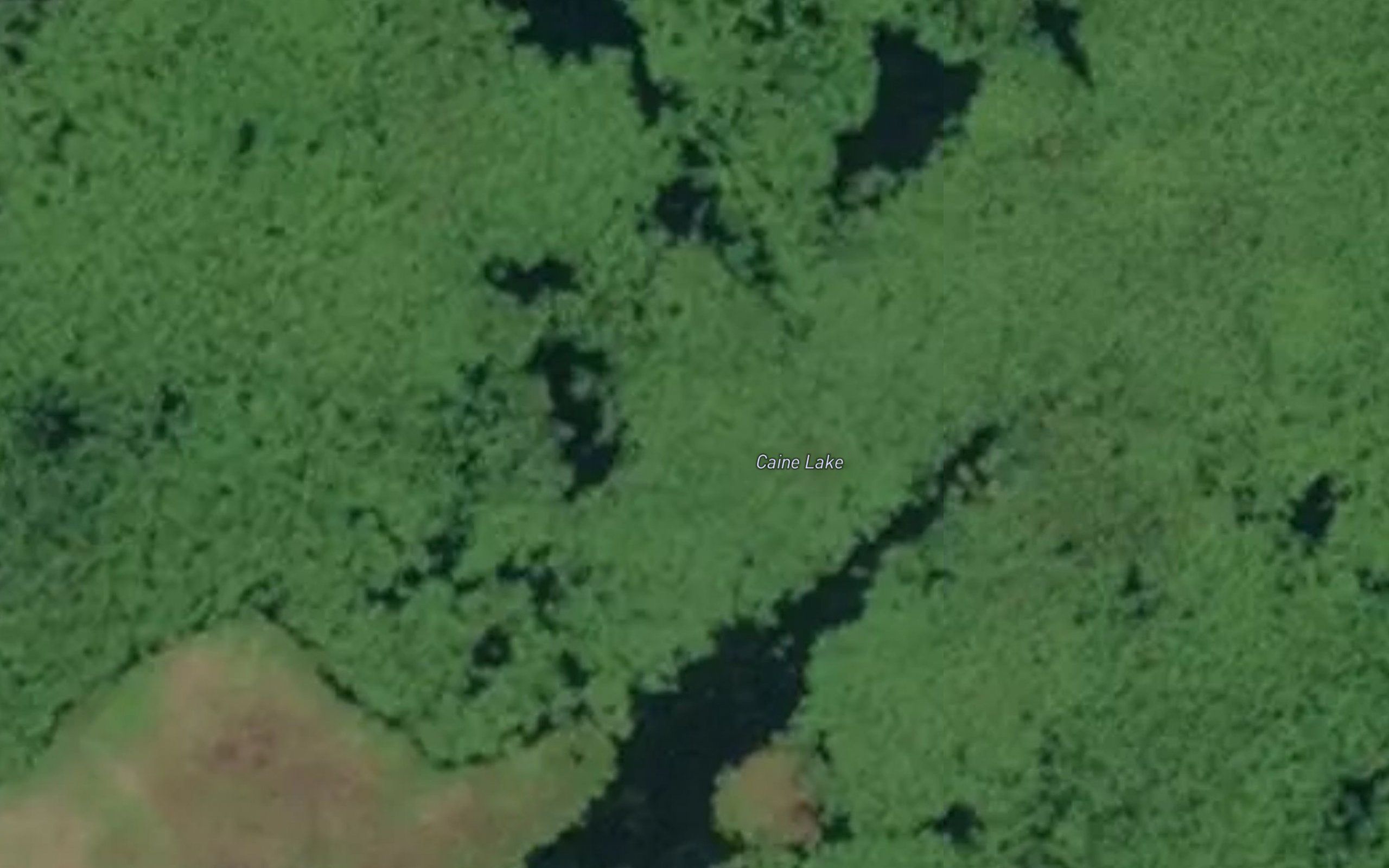 Caine Lake