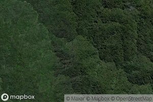 Tapapapatanga Stream