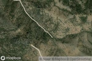 Spaghetti Number Two Spring