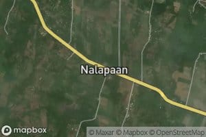 Nalapaan Creek