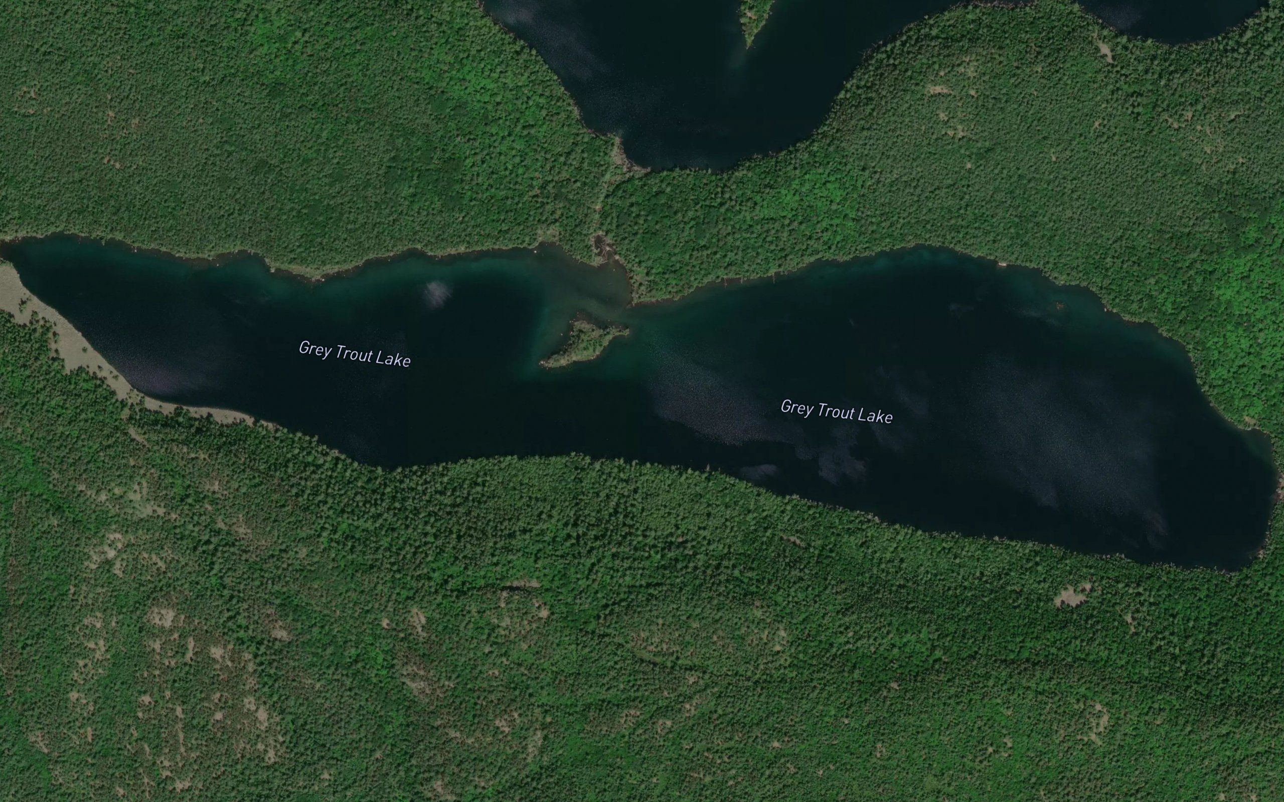 Grey Trout Lake