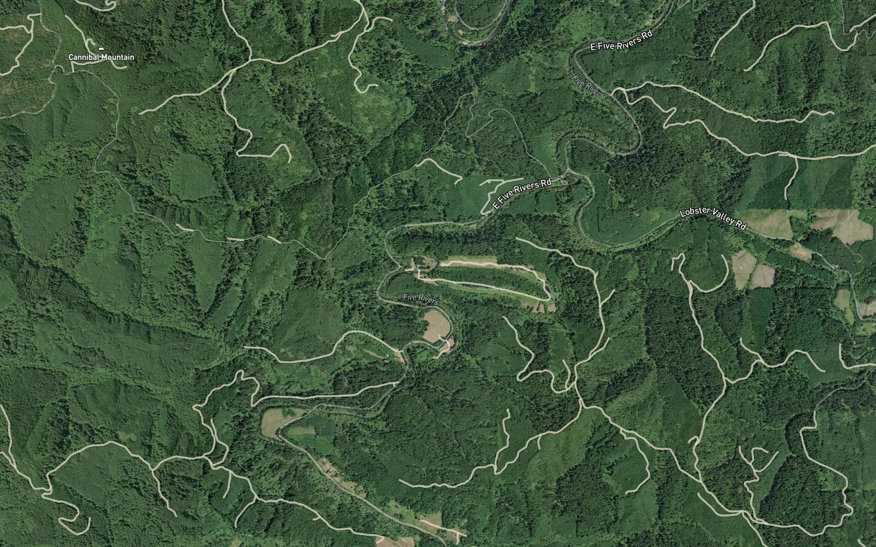 Satellite map of the Swamp Creek