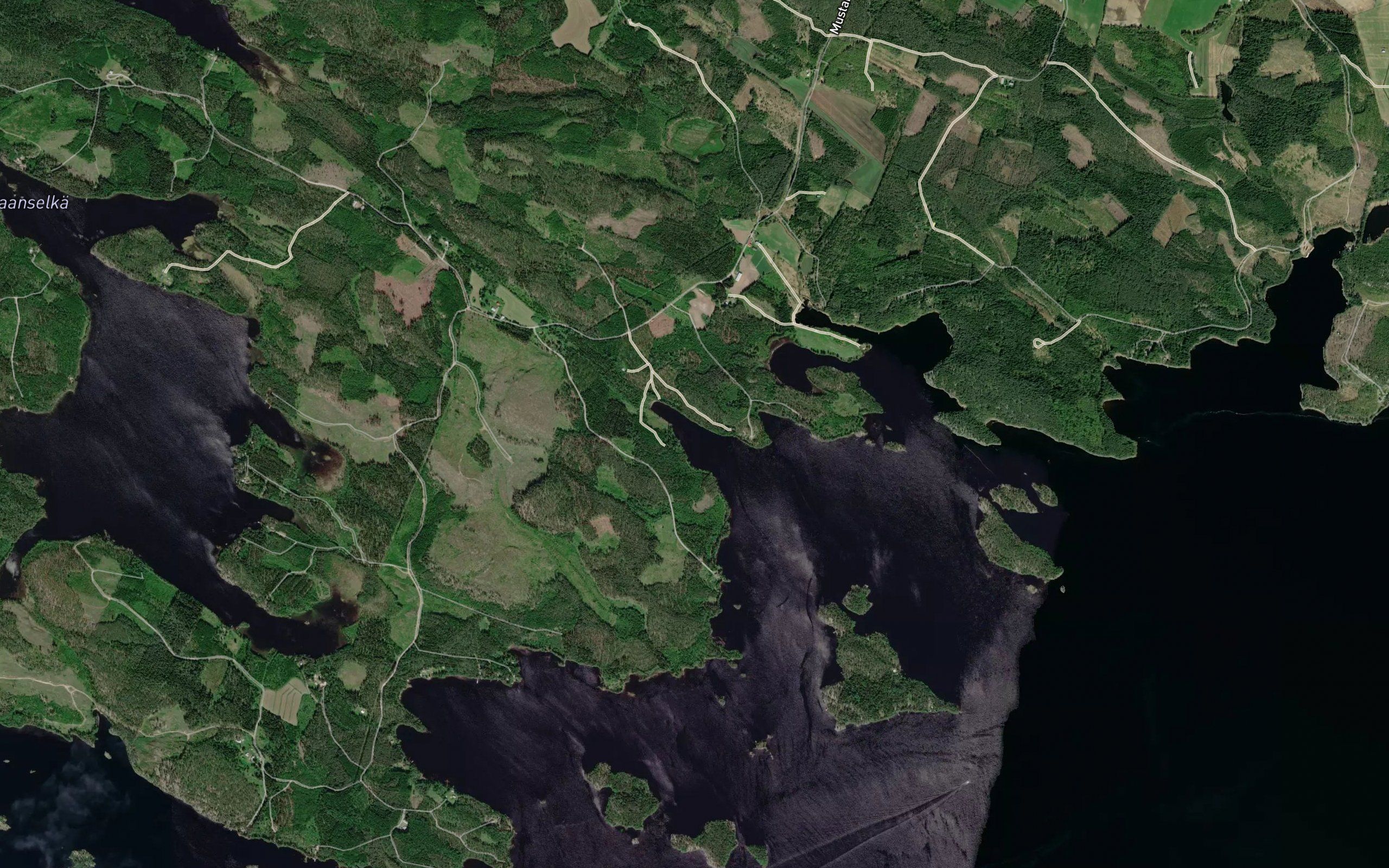 Pitkalahti