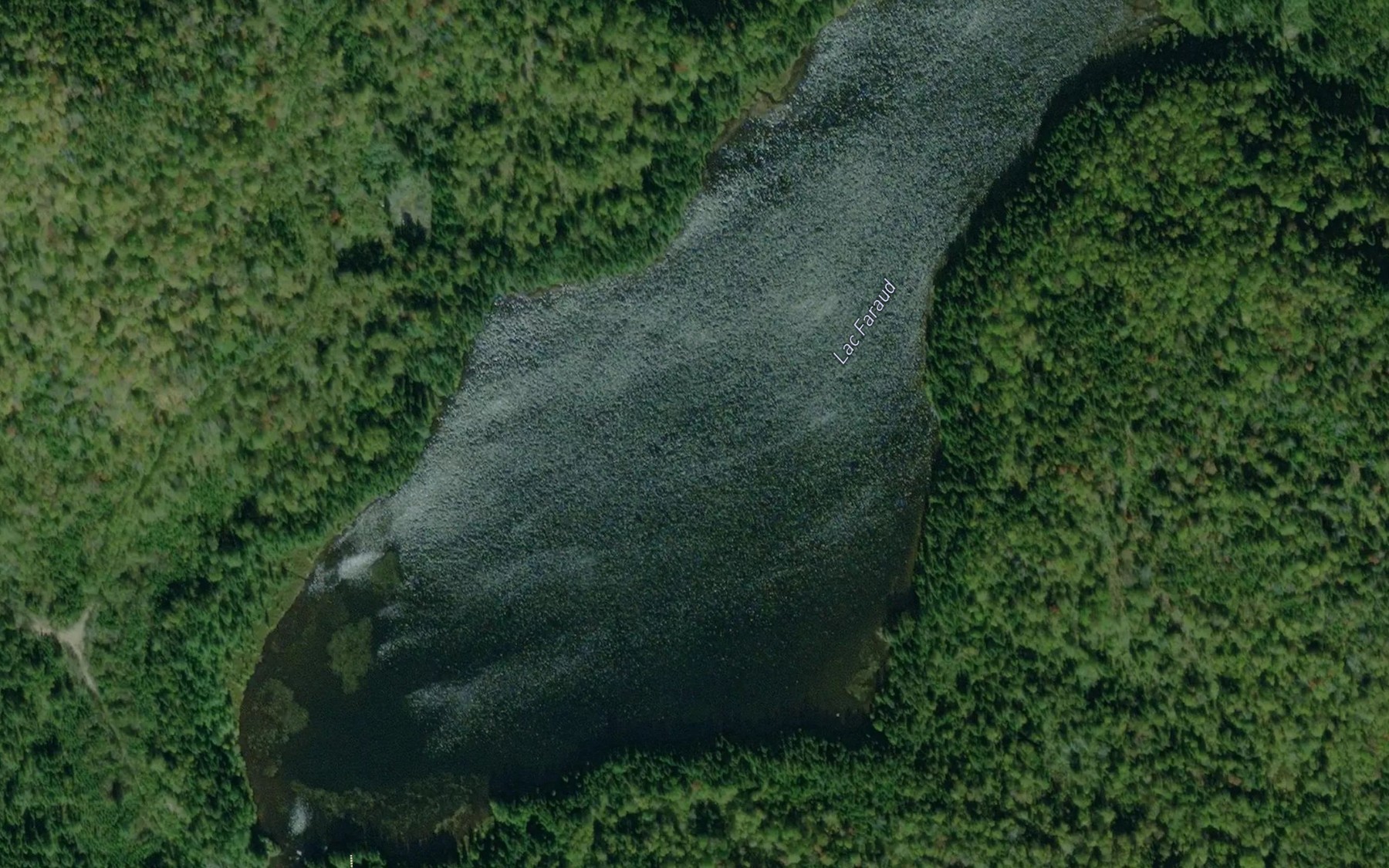 Satellite map of the Lac Faraud