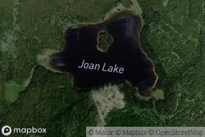 Joan Lake
