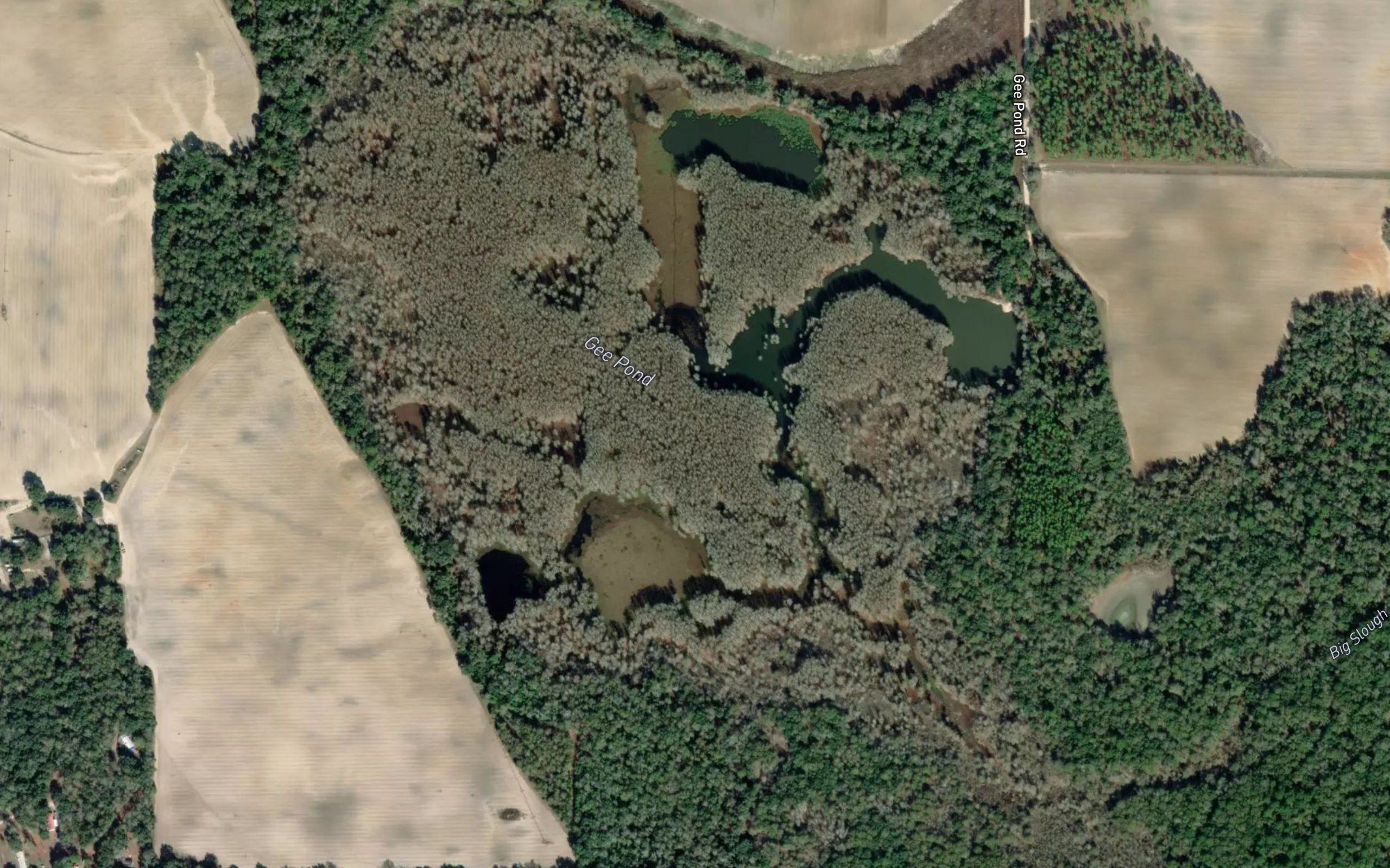 Gee Pond