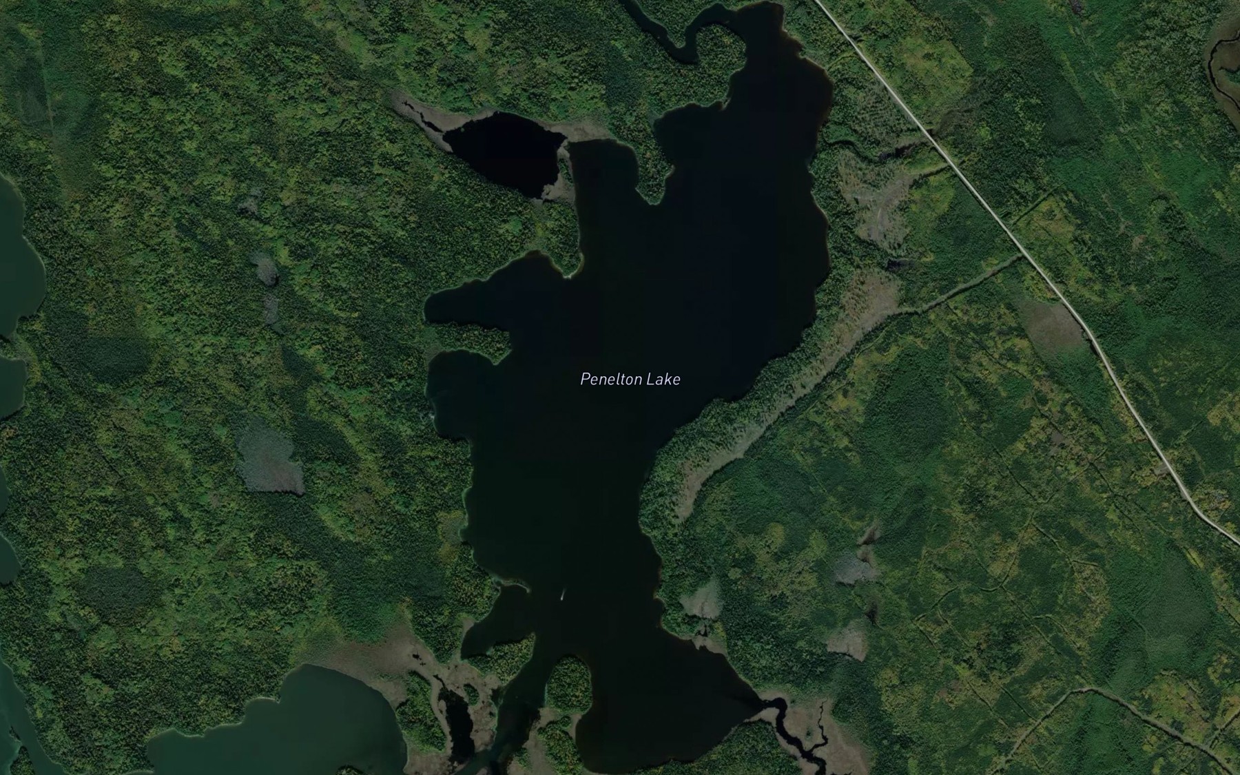 Satellite map of the Penelton Lake