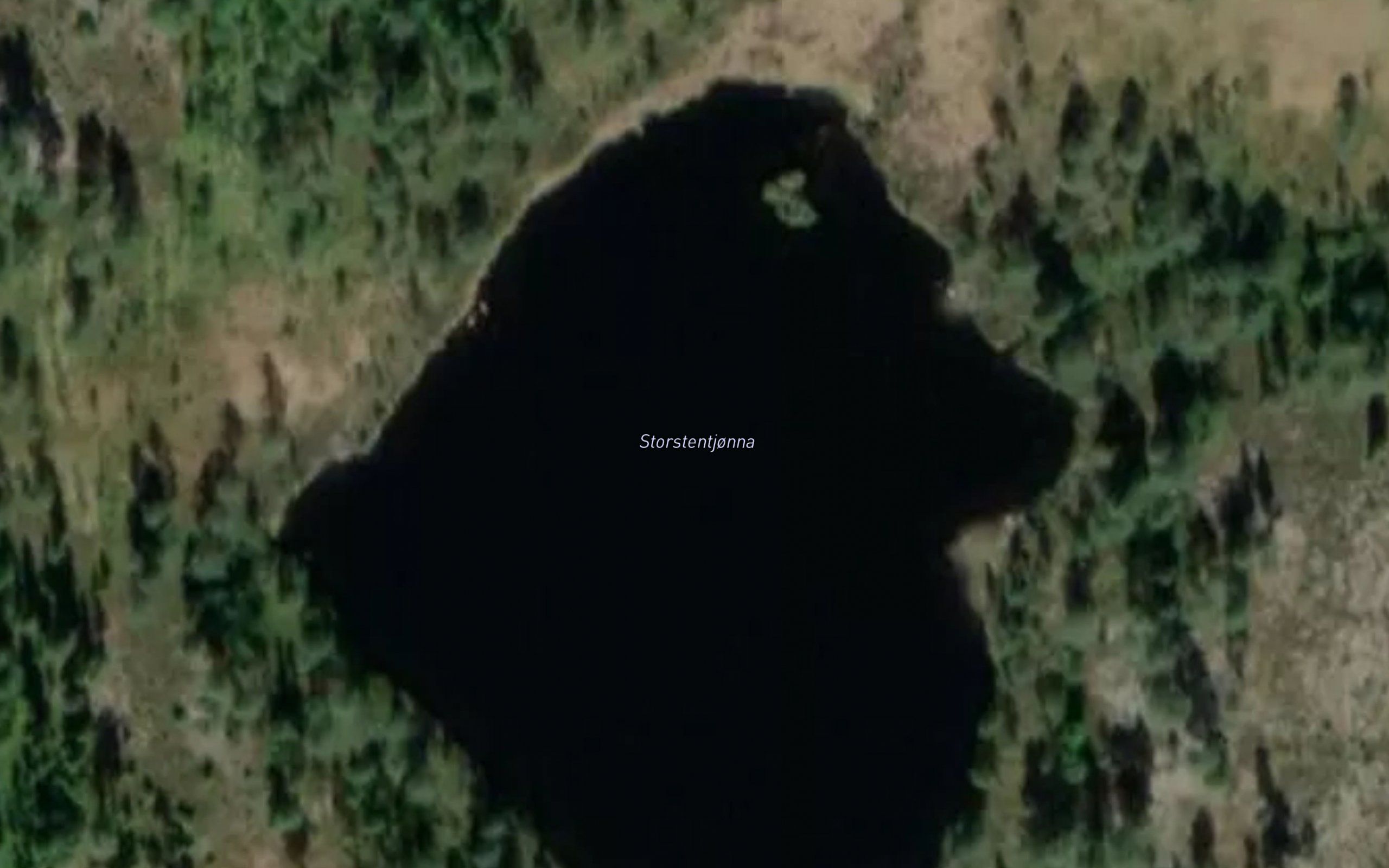 Storsteintjorna