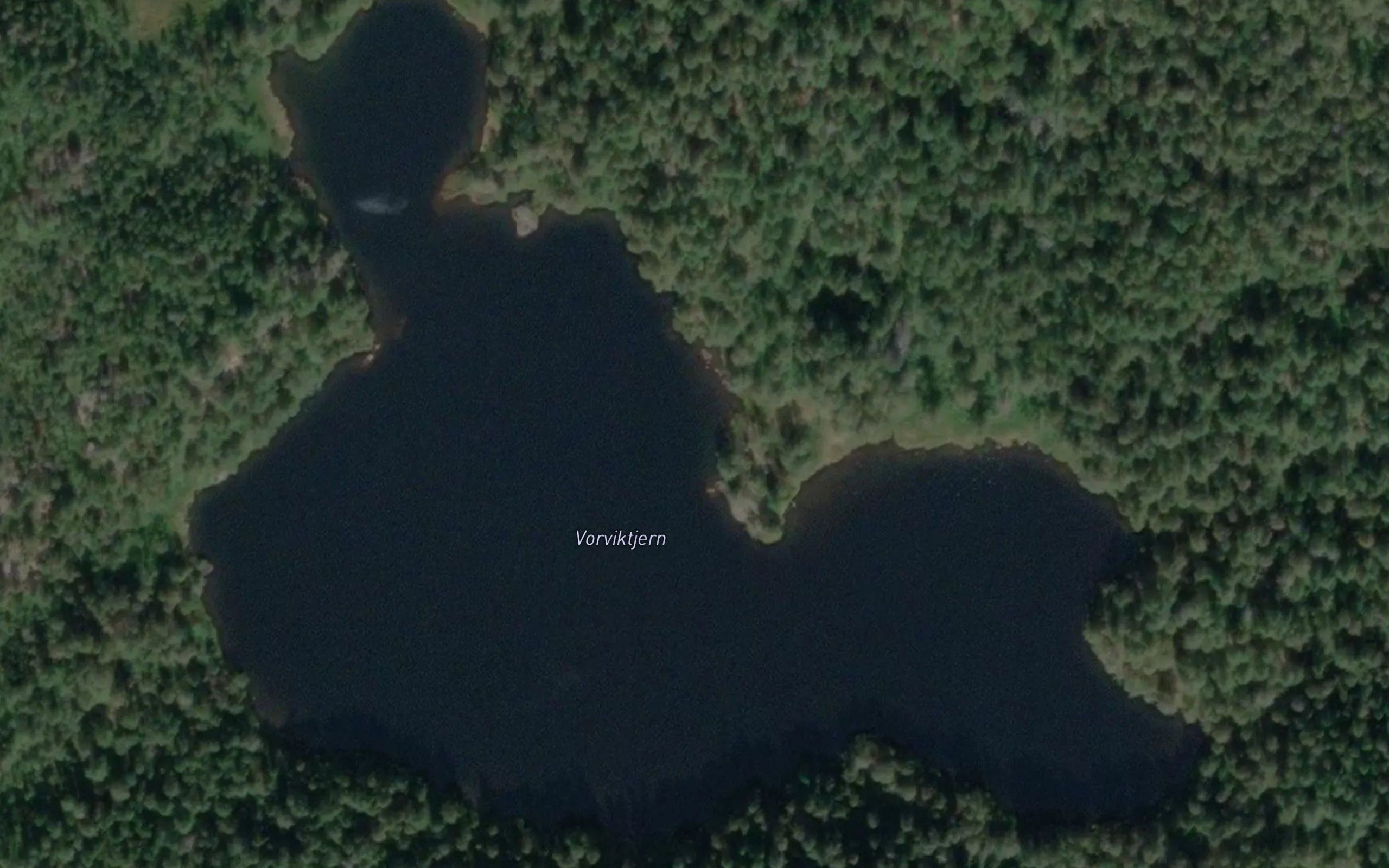 Vorviktjern