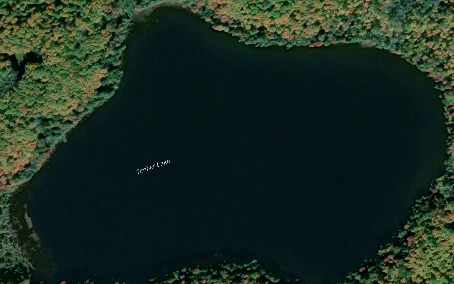 Satellite map of the Timber Lake