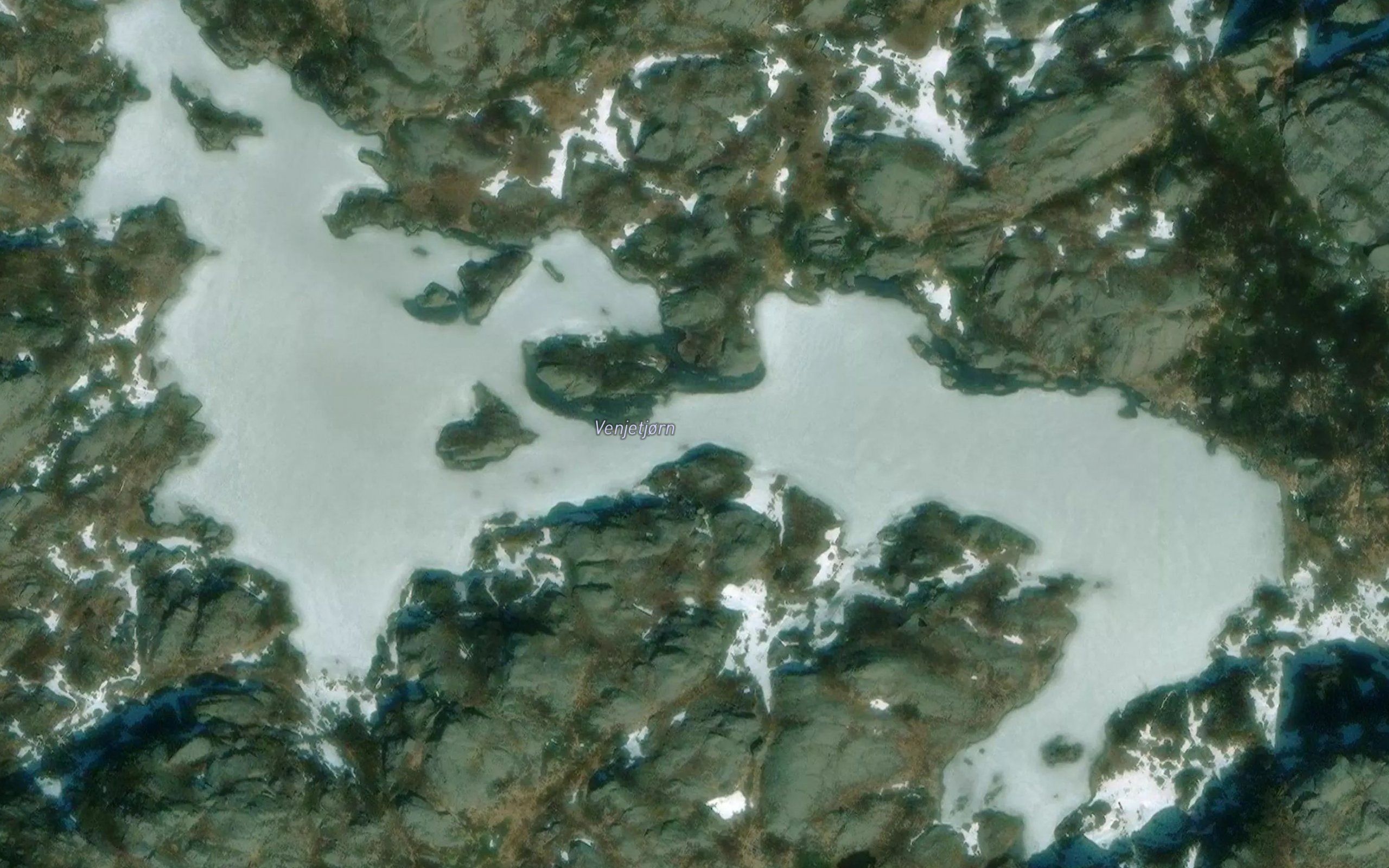 Venjetjorn