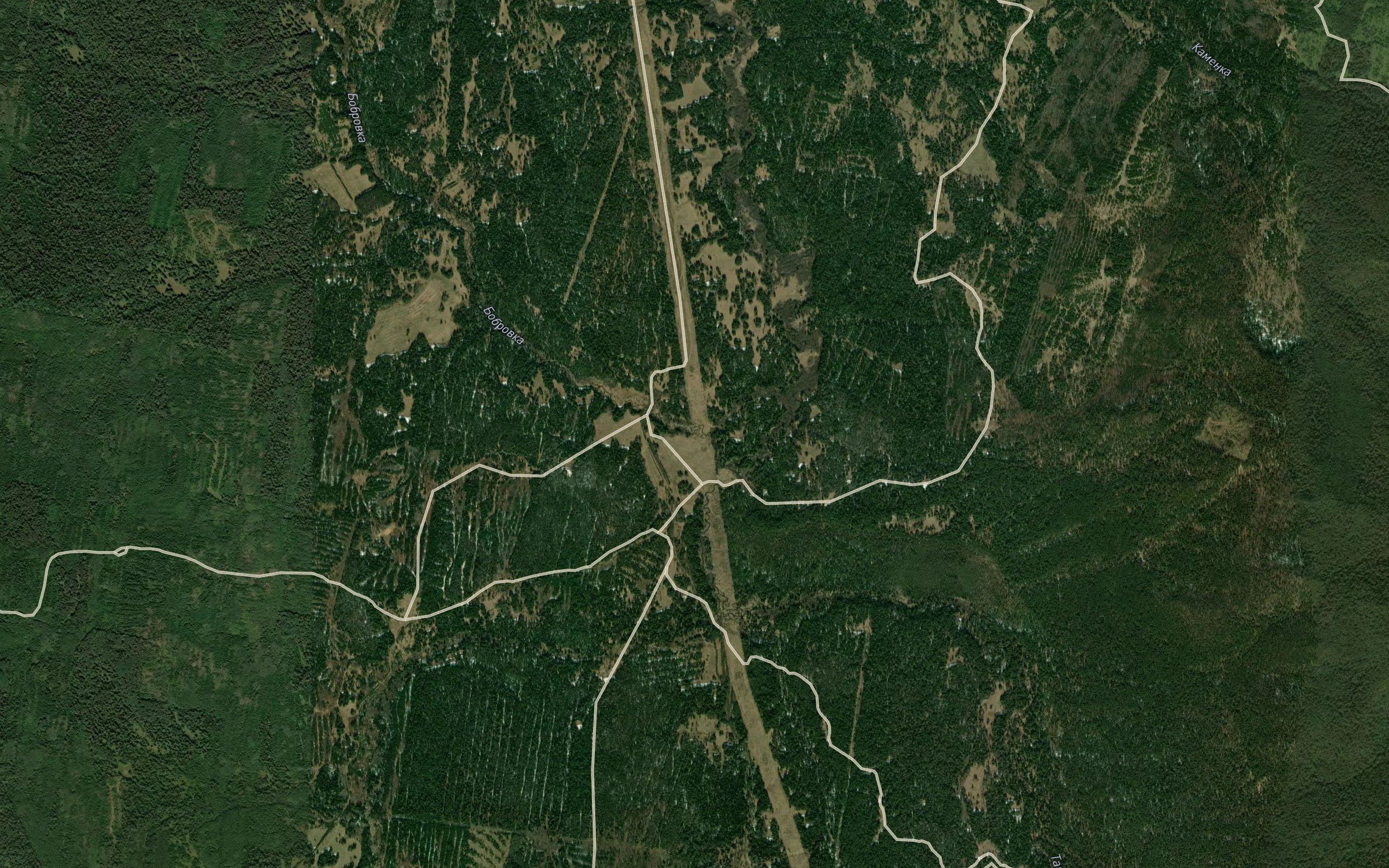 Borovka