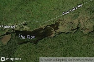 The Floe