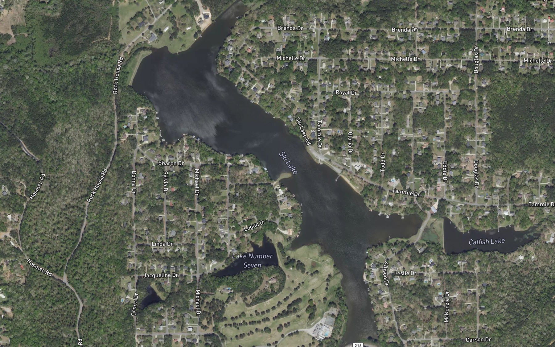 Satellite map of the Ski Lake