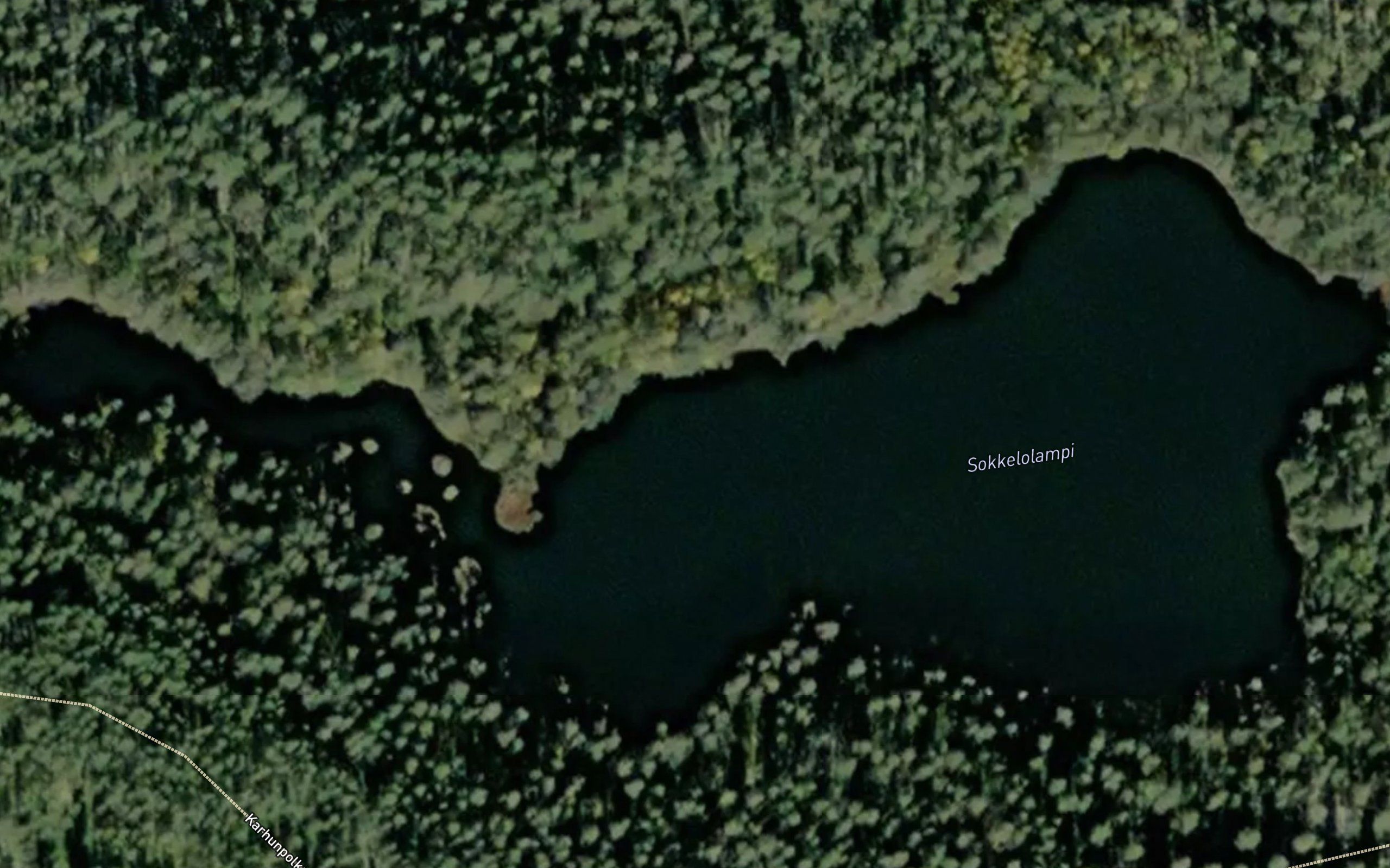 Sokkelolampi